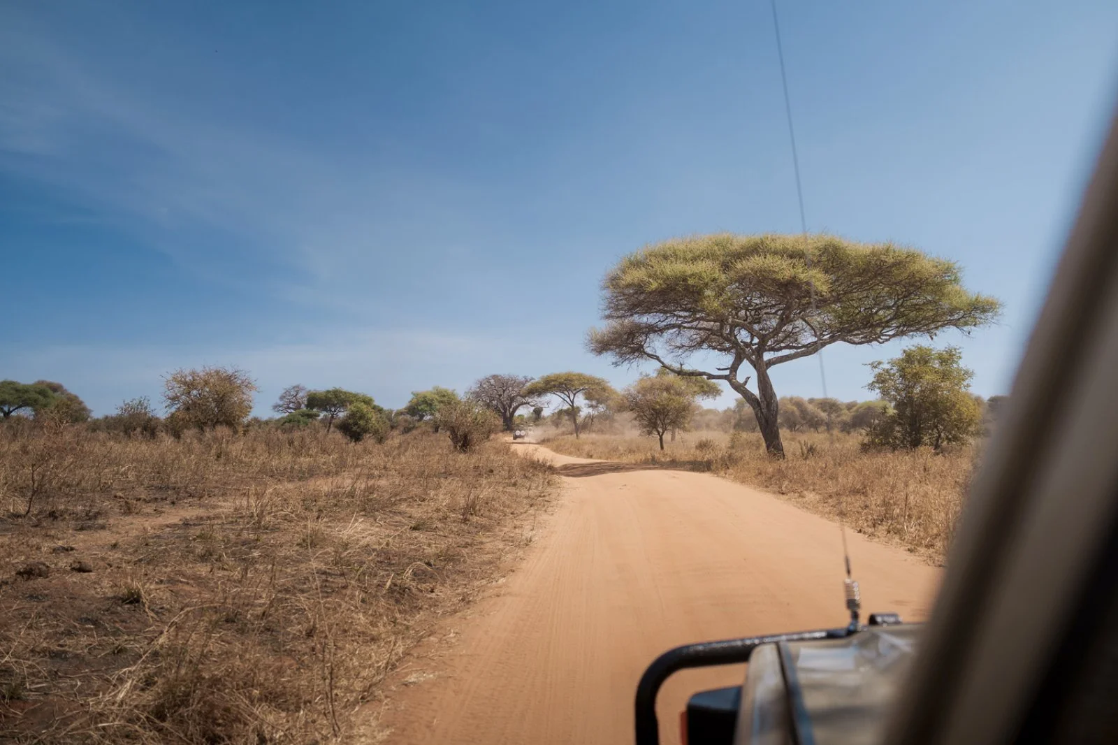 Tarangire - Arusha - Zanzibar