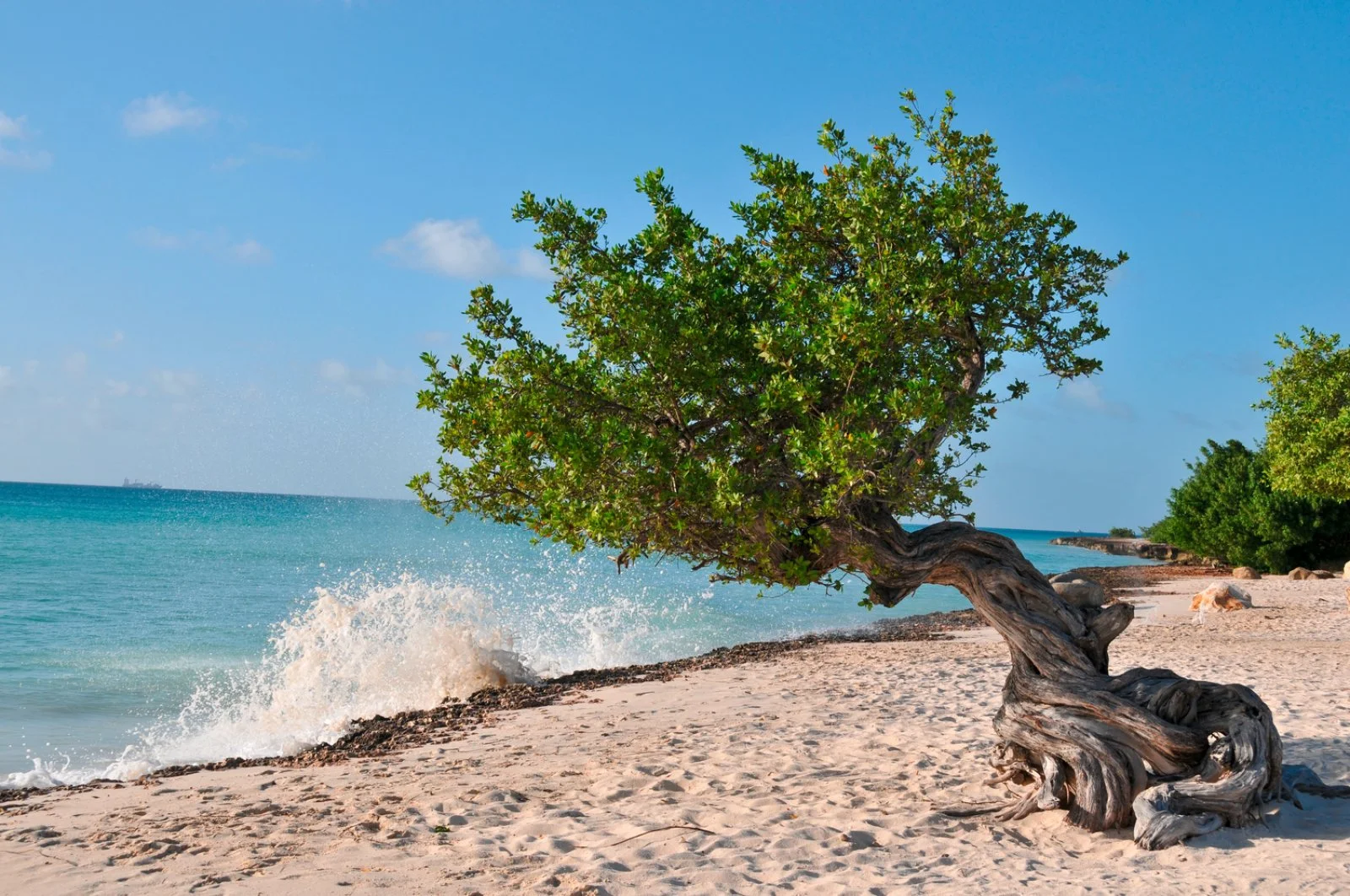 Aruba