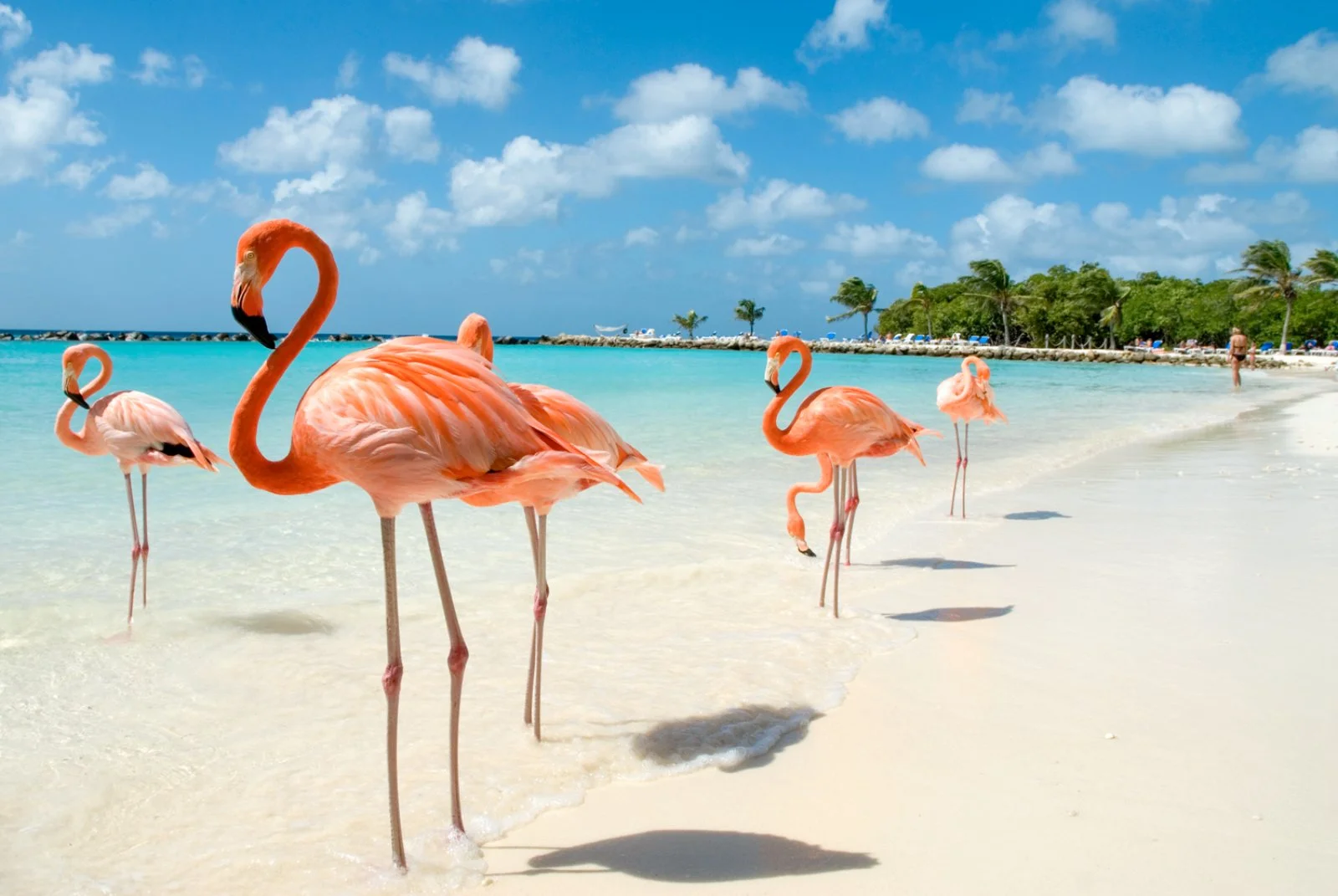 Aruba