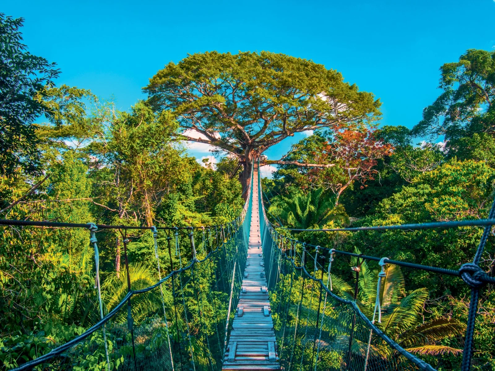 Amazzonia Iquitos - Amazzonia Peruviana