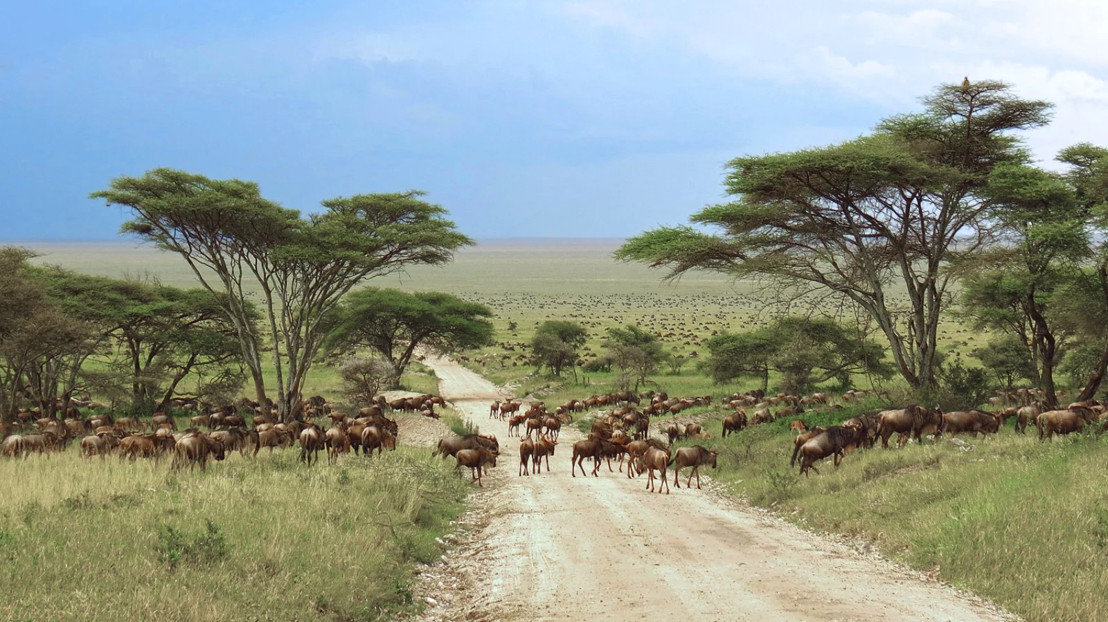 TAITA HILLS/WATAMU (285 km)