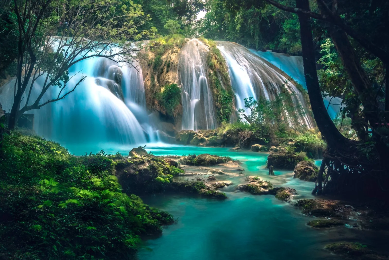 San Cristóbal de las Casas - Agua Azul - Palenque