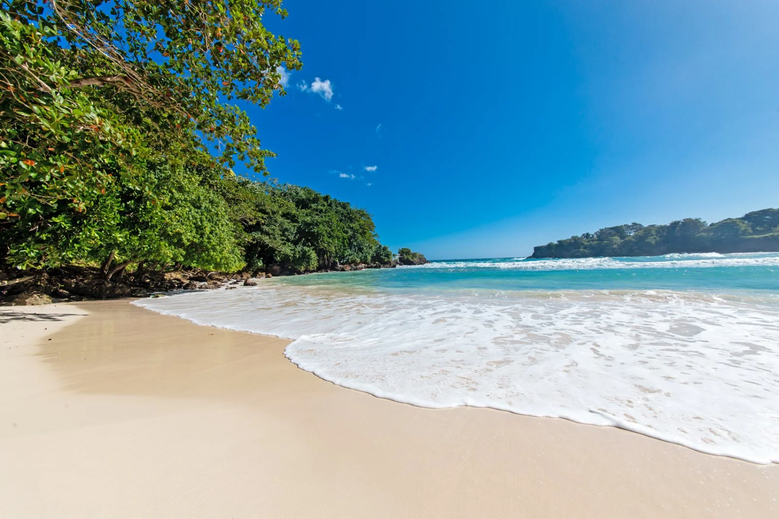 New York - Montego Bay