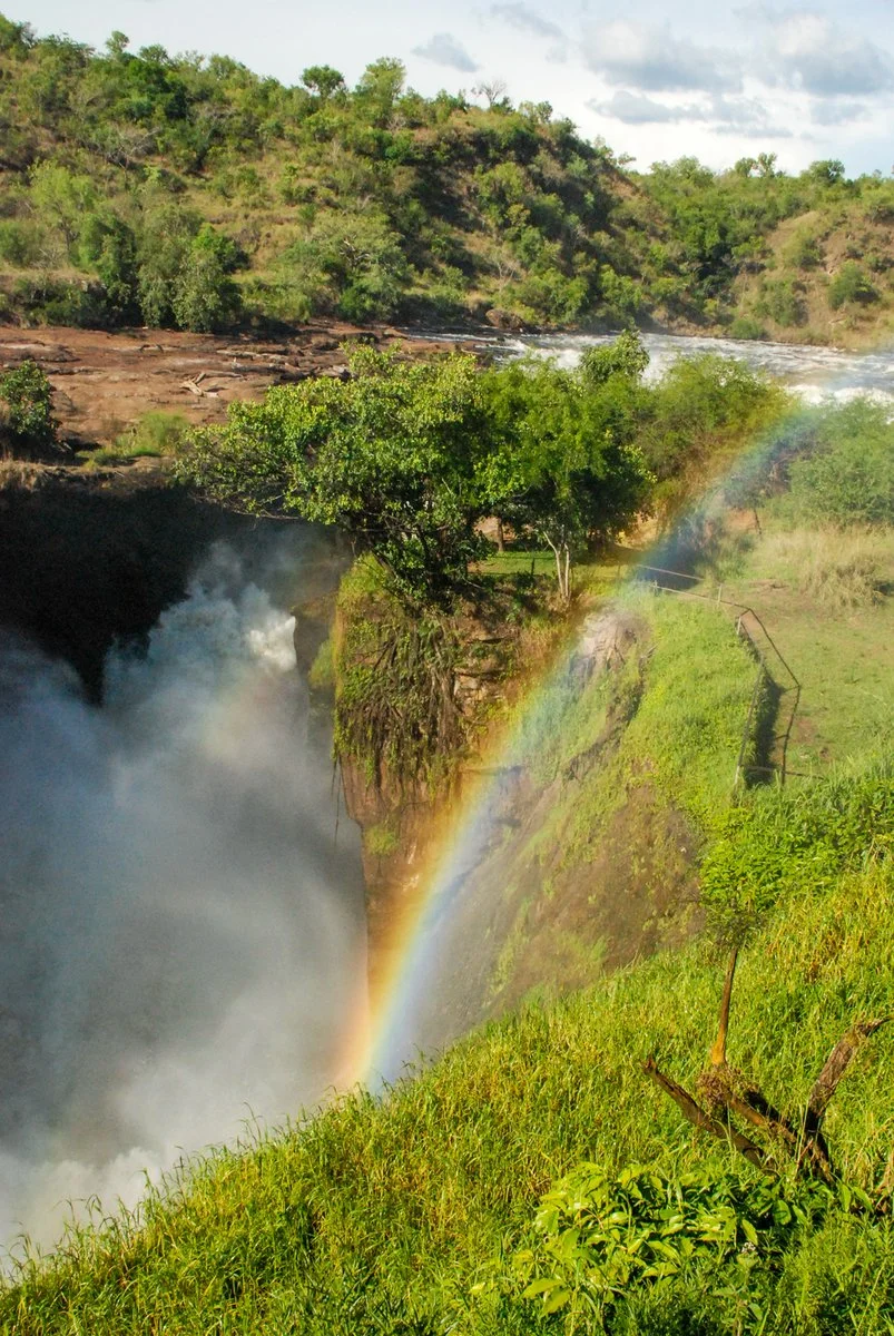 Riserva di Ziwa - Il Parco Nazionale Murchison Falls