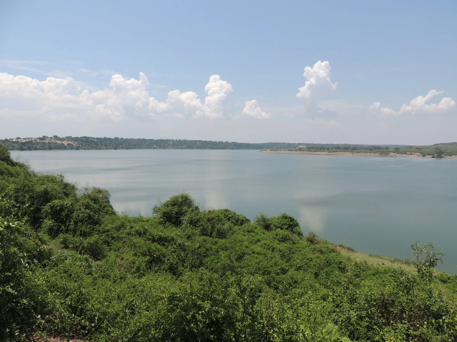 Il Parco Nazionale Queen Elizabeth