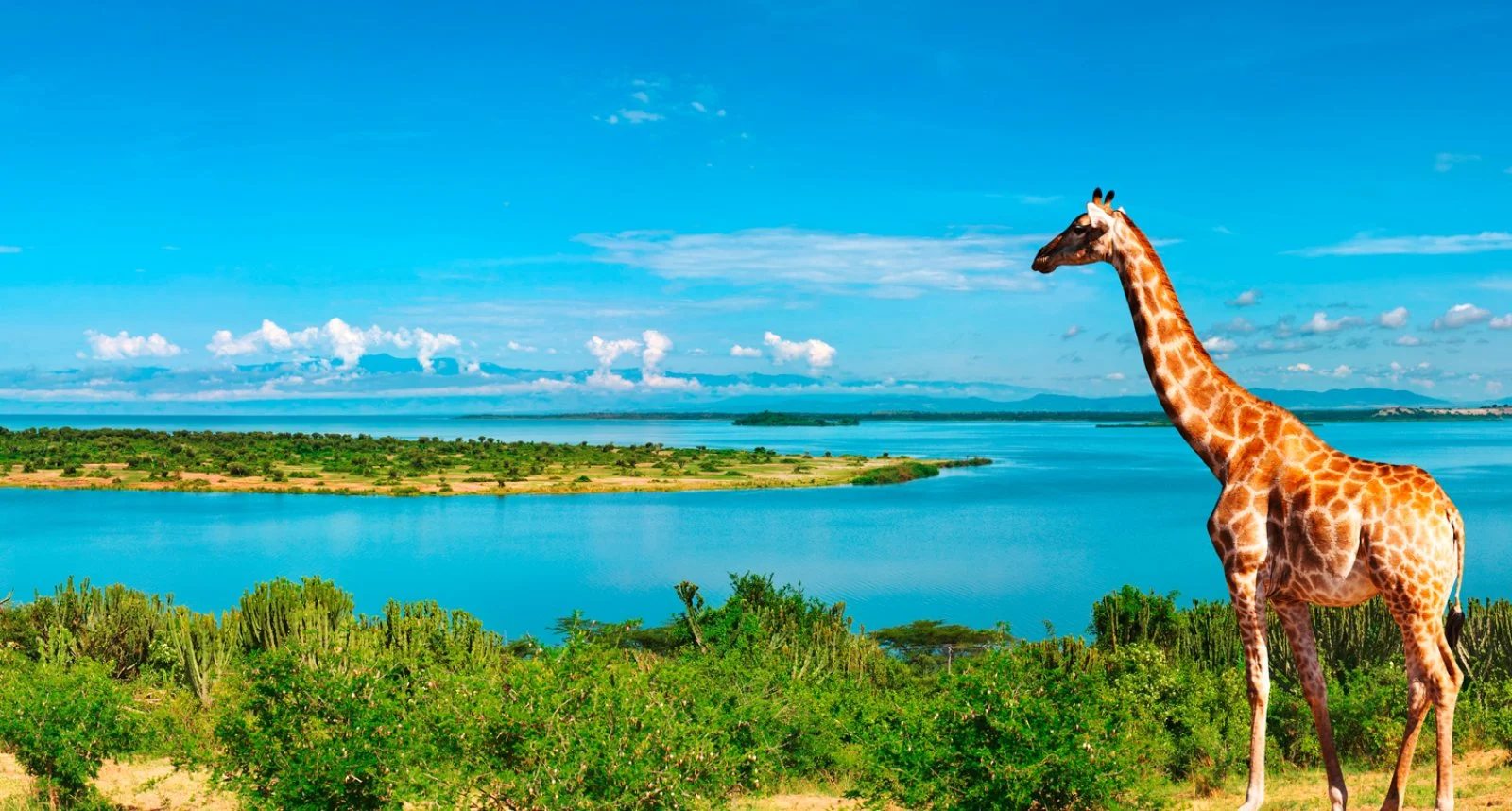 Il Parco Nazionale Murchison Falls