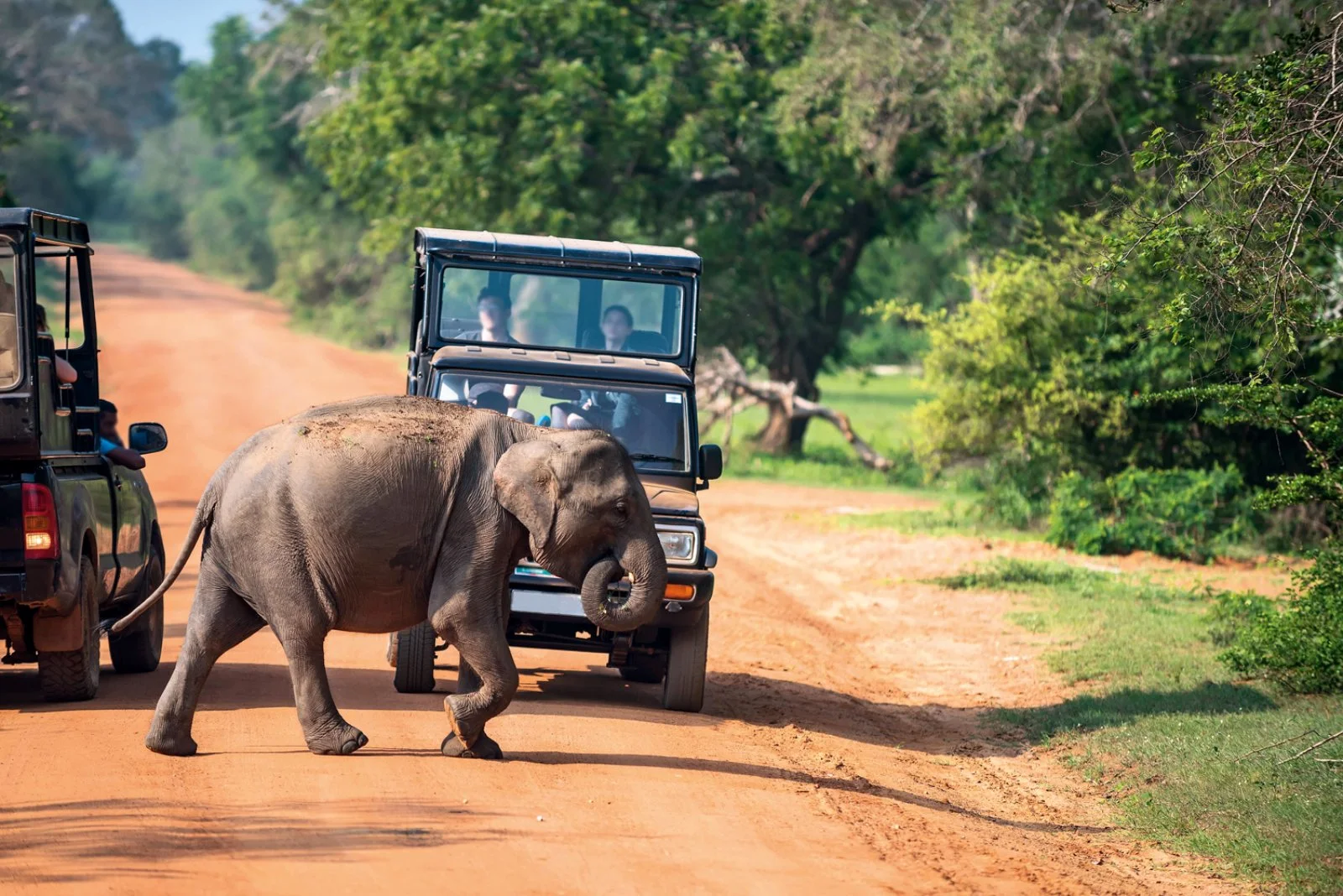 Nuwara Eliya – Yala National Park – Tissamaharama