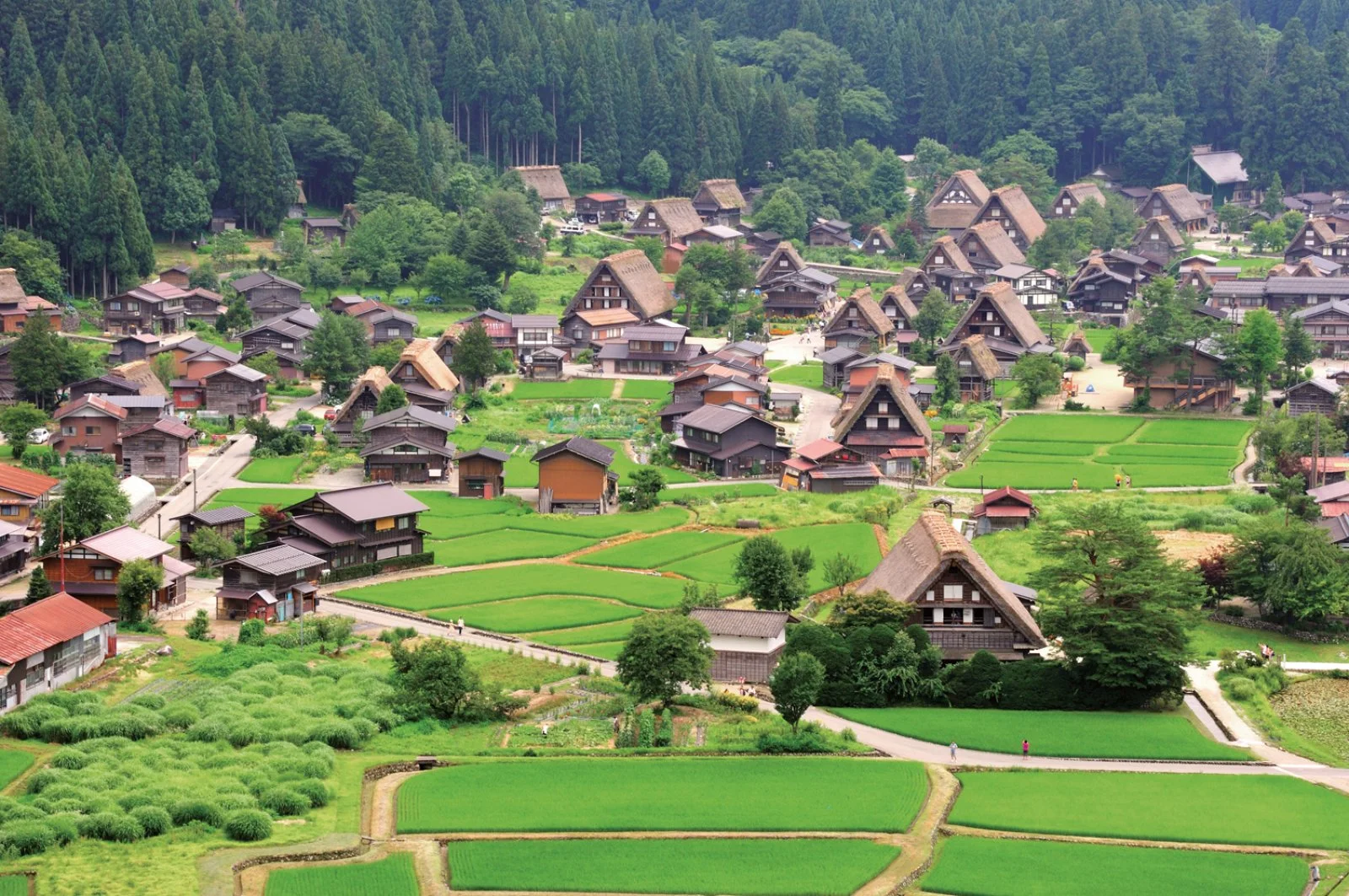 Kanazawa - Shirakawa-go - Takayama