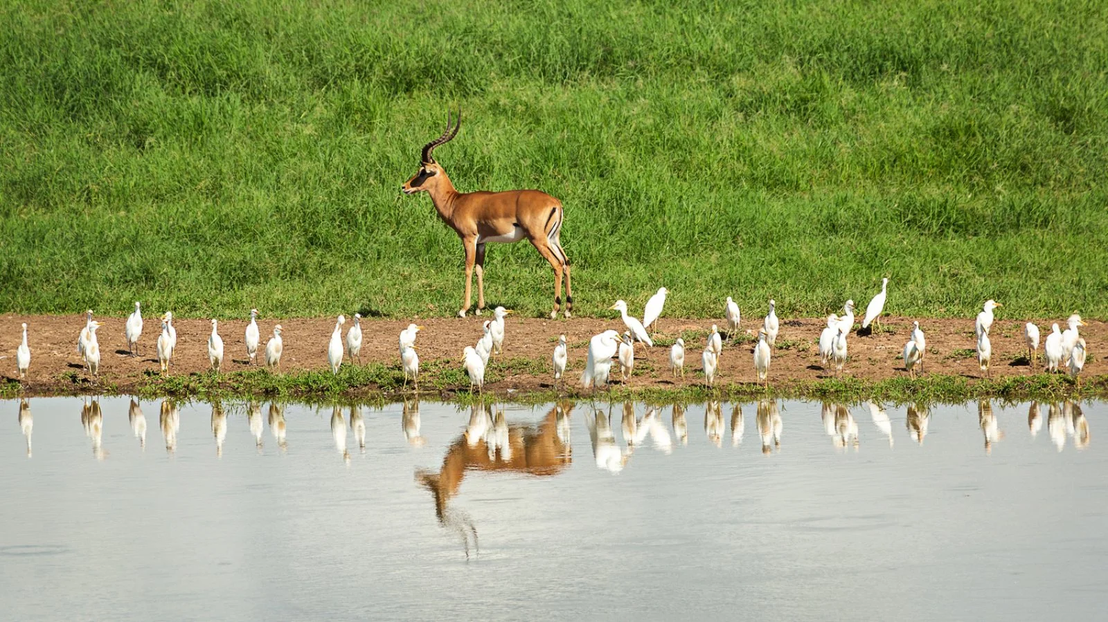 Amboseli/Taita Hills (190 km)