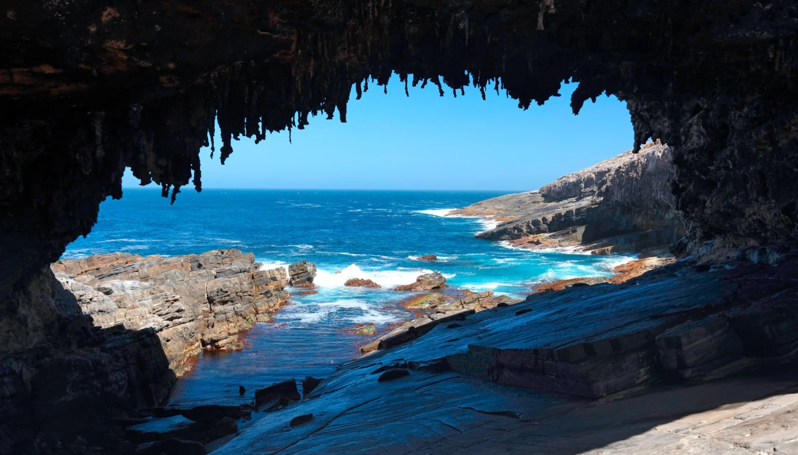 Avventura A Sud - Kangaroo Island