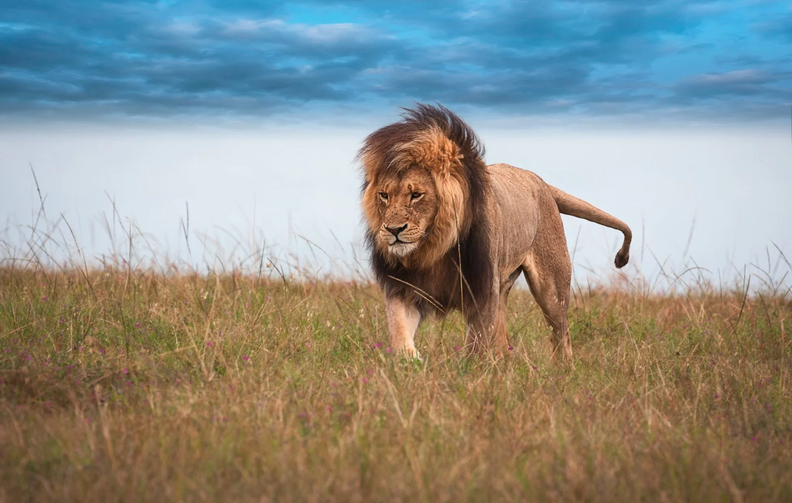 Taita Hills - Tsavo East National Park