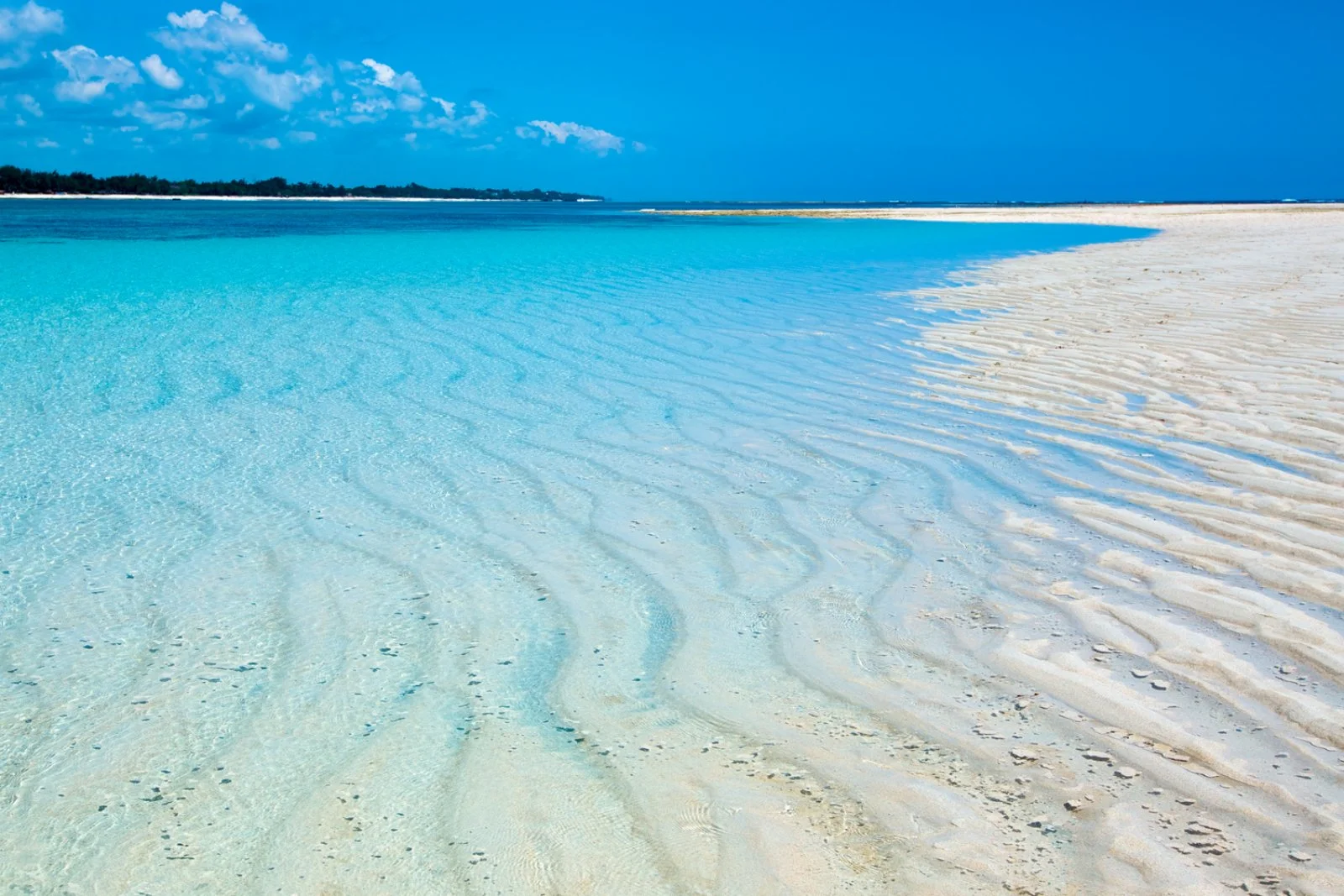 Tsavo, Amboseli Express E Mare - Diani Beach