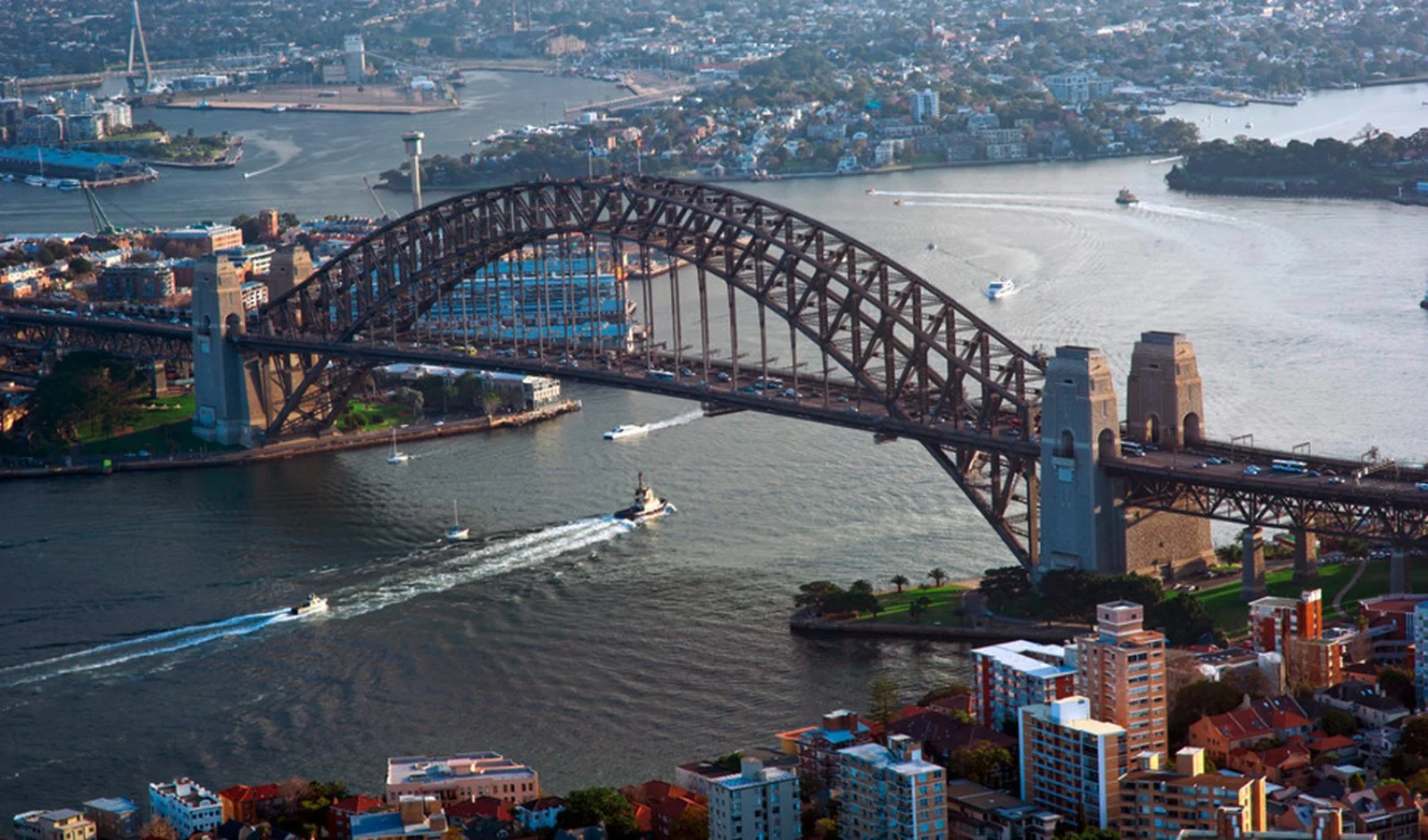 Tour Spiagge E Koala - Sydney