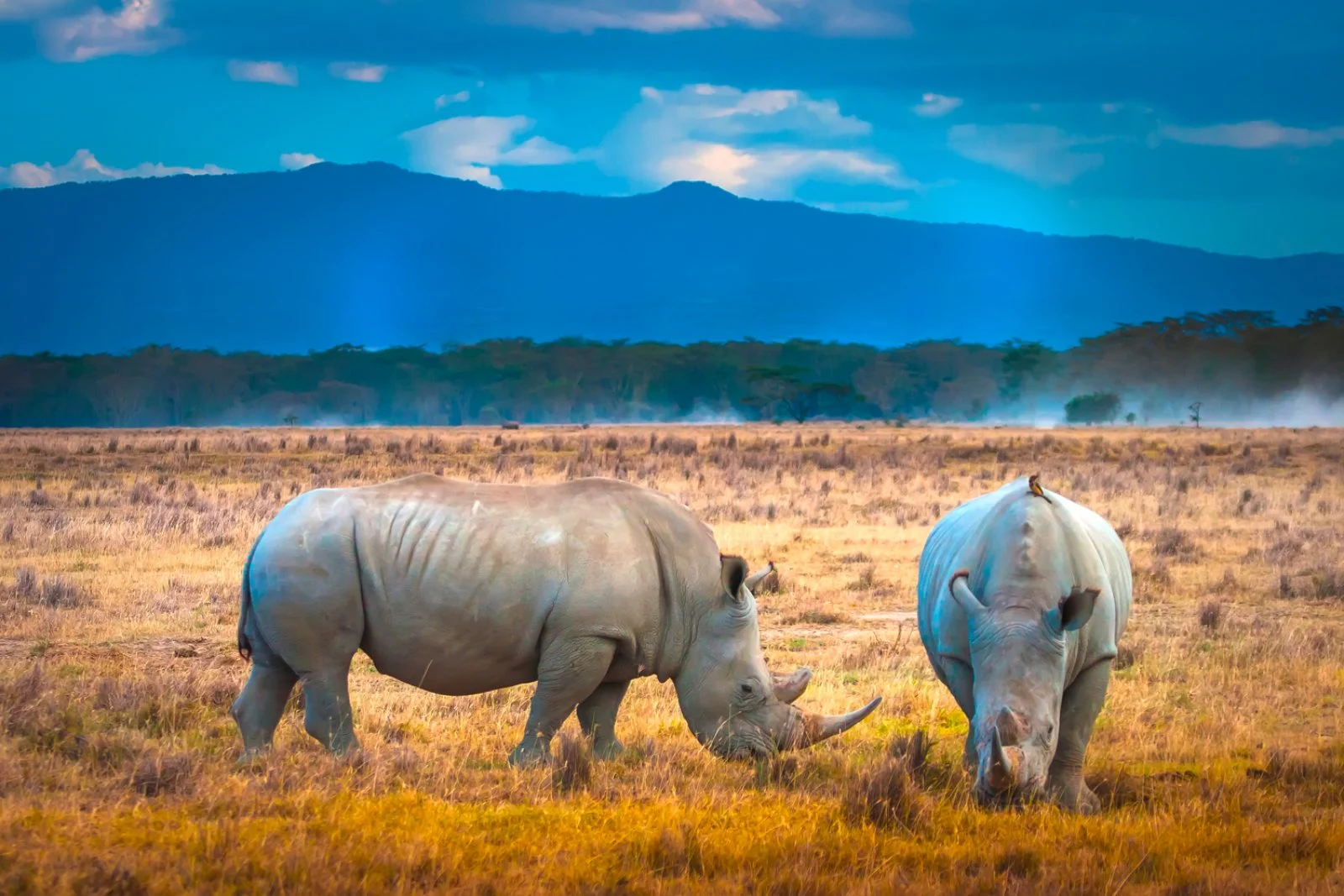 Nairobi - Lago Nakuru