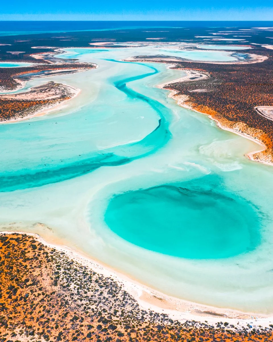 Kalbarri - Monkey Mia