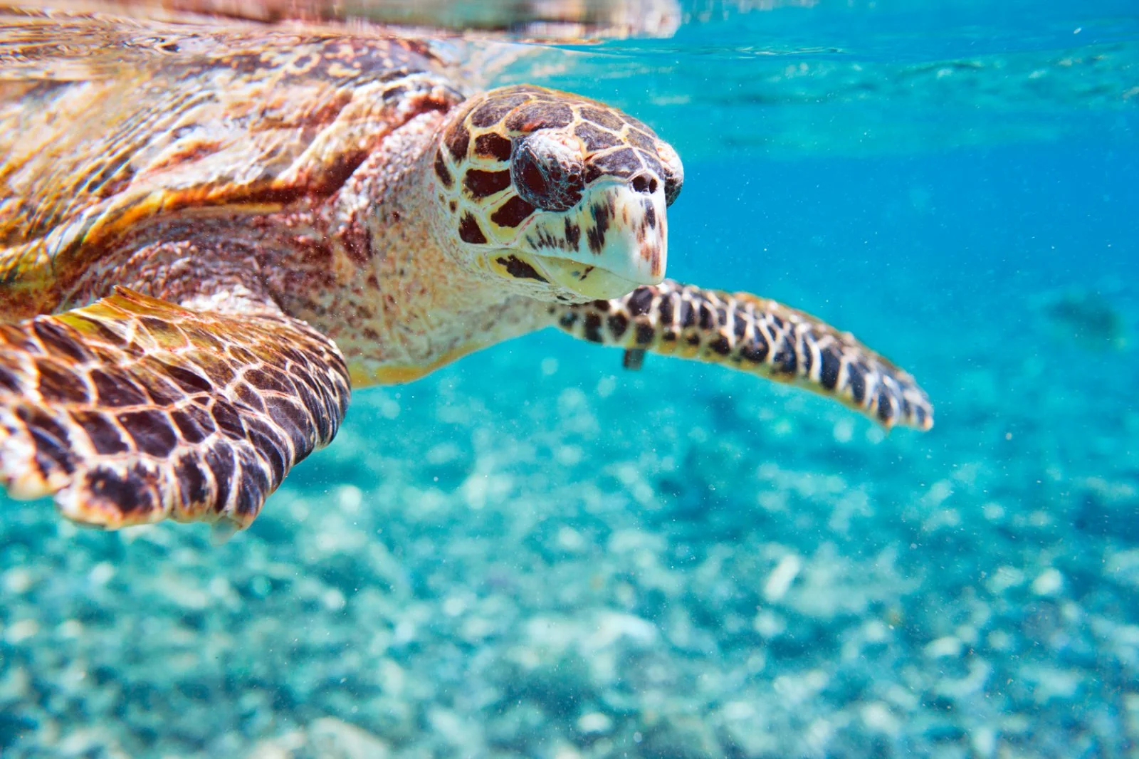 Seychelles E Mauritius Seychelles E Mauritius