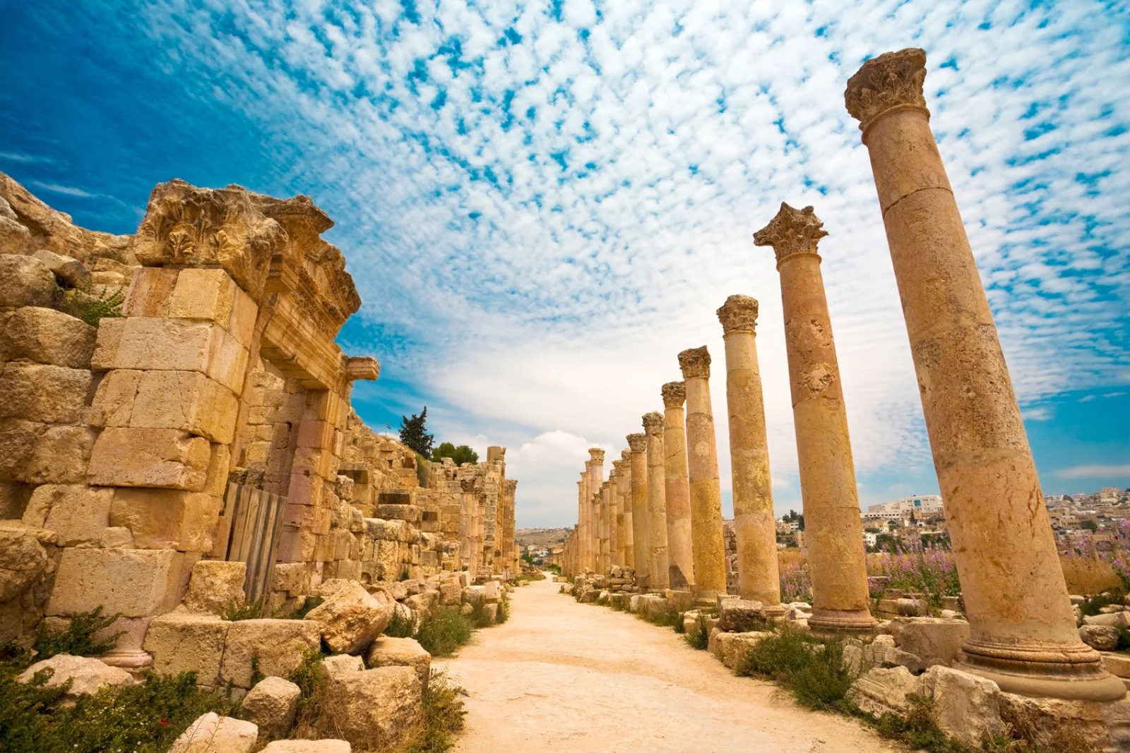 Amman - Jerash - Ajlun - Amman
