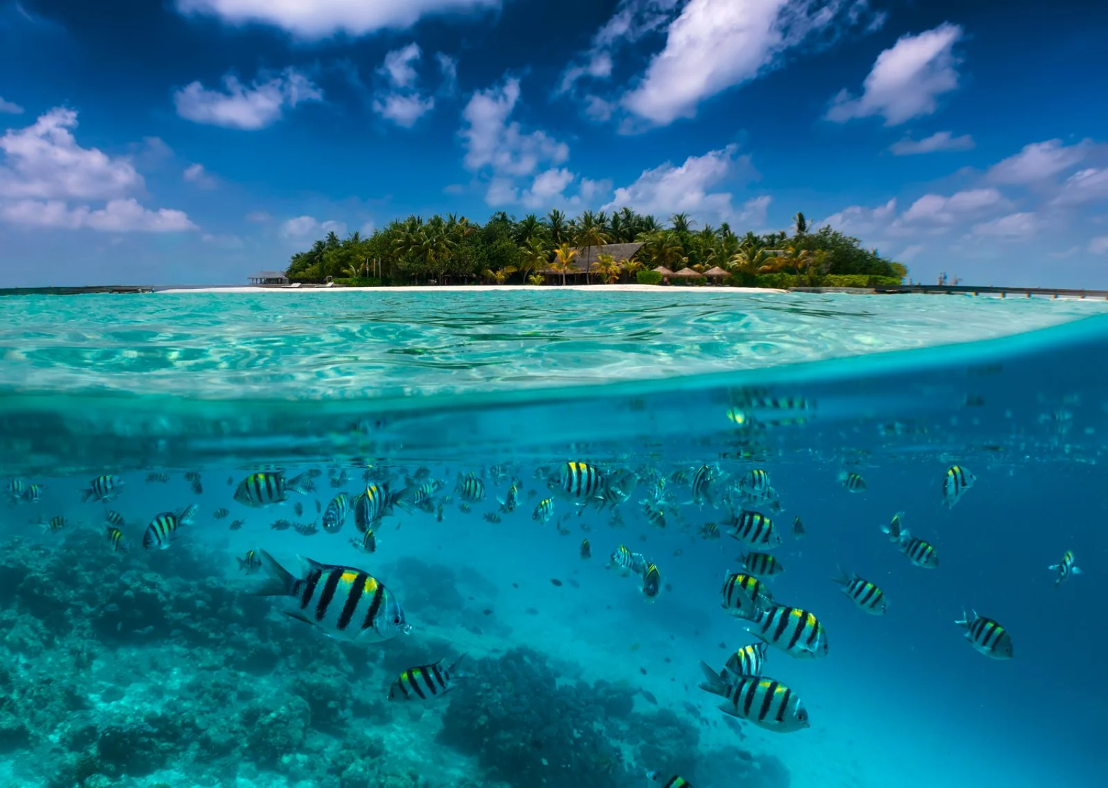 Mar Morto - Amman - Maldive