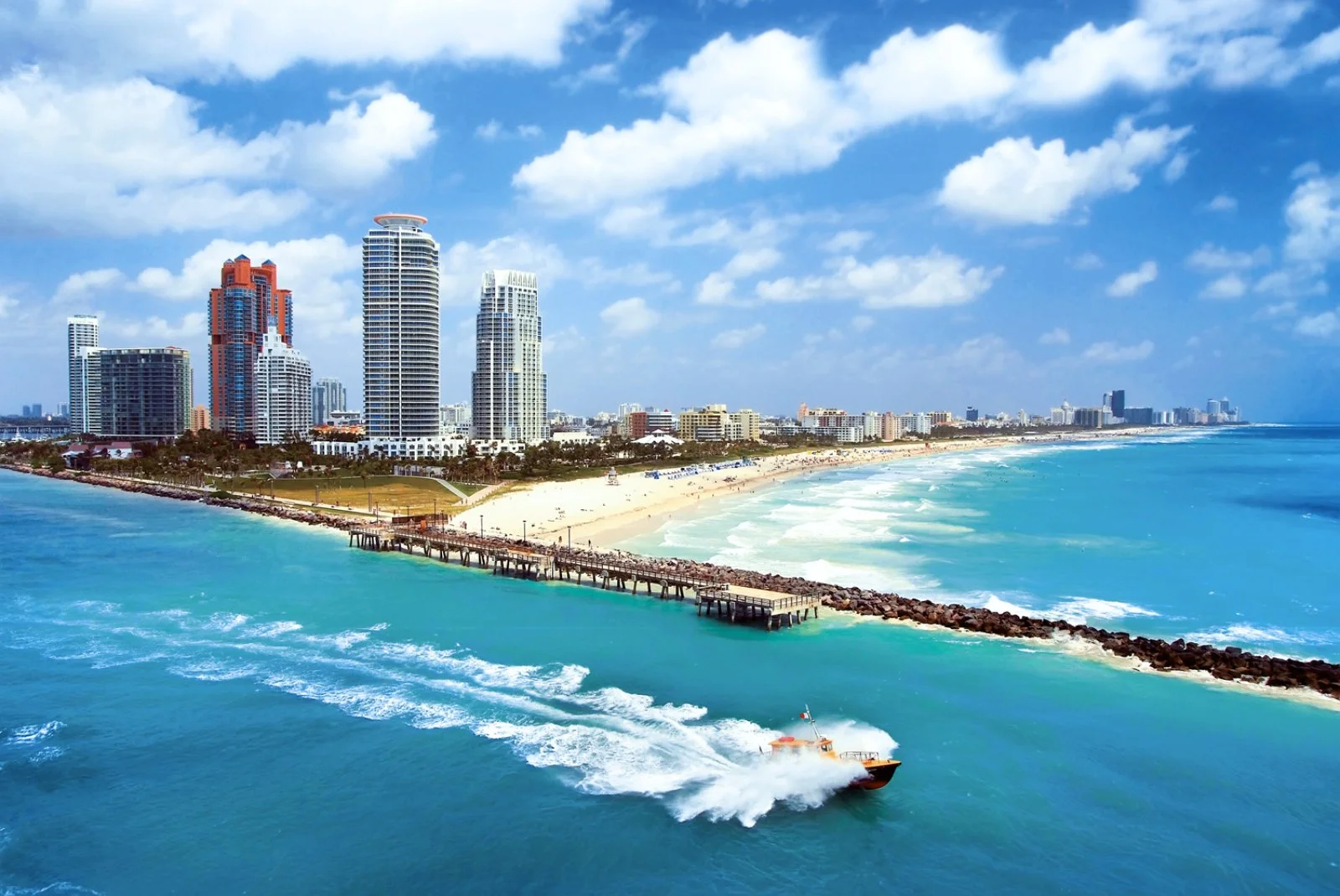 Jump In Miami 