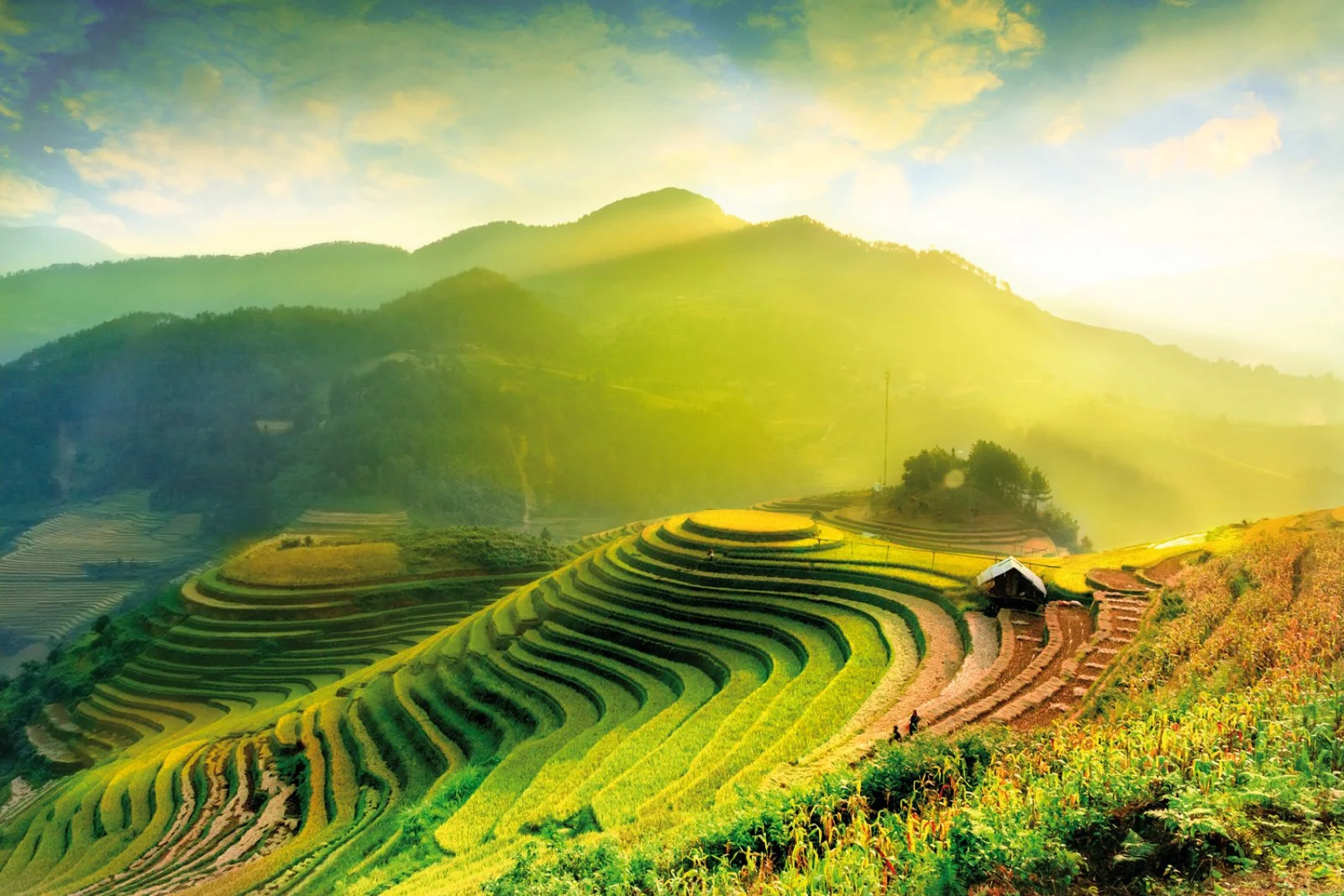 Magic Vietnam E Cambogia 