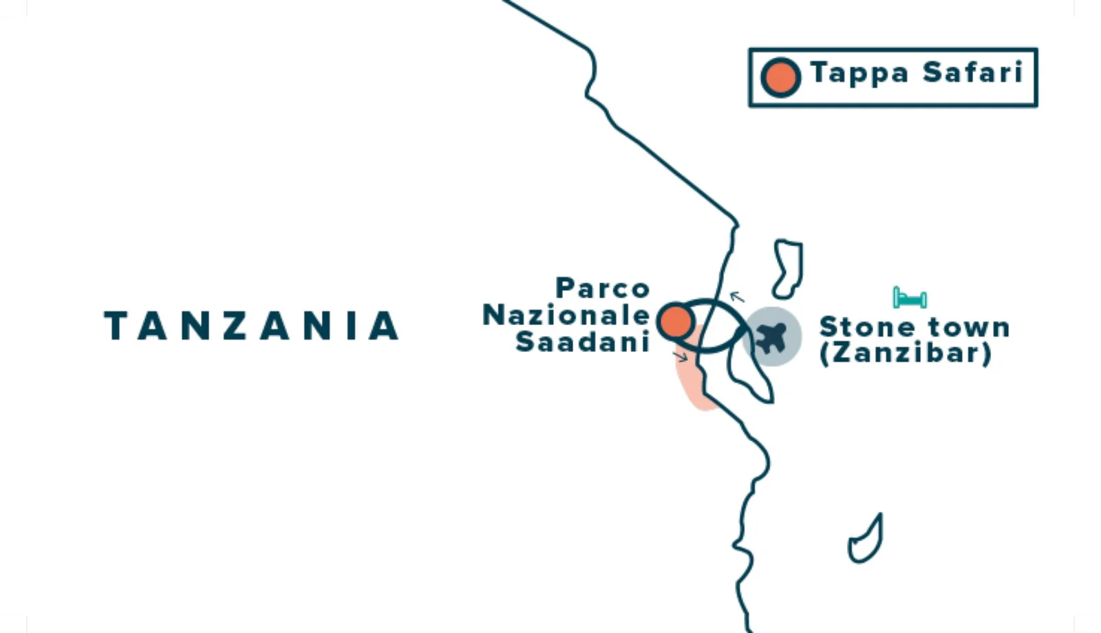 Safari Saadani Np 1 Notte 