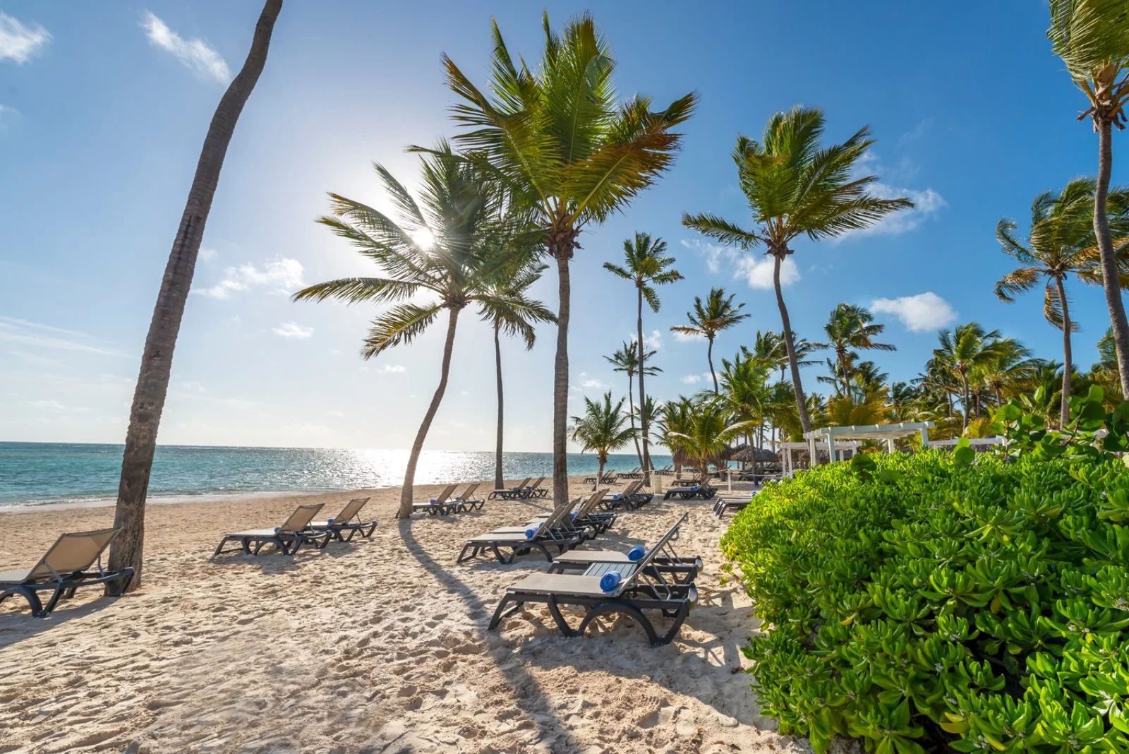 Catalonia Bavaro Beach 