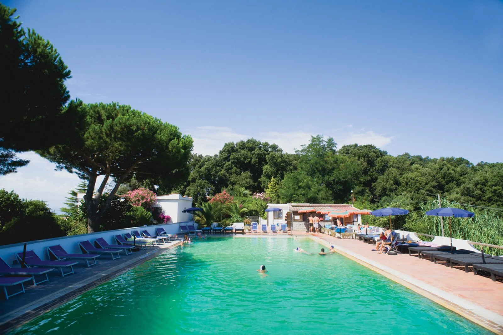 Al Bosco Hotel 
