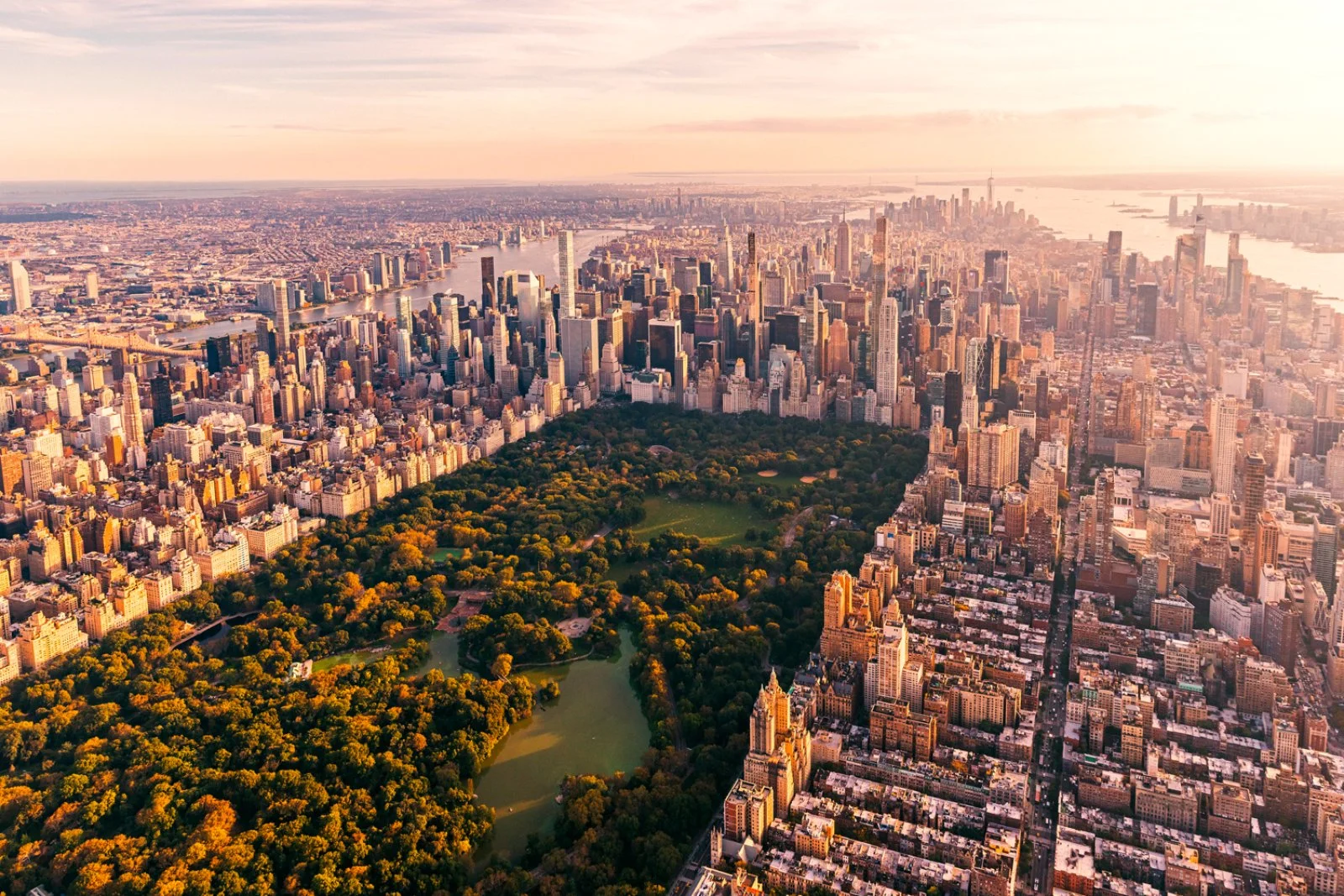 Tennis Trip & Carota Boys Nyc Longer 