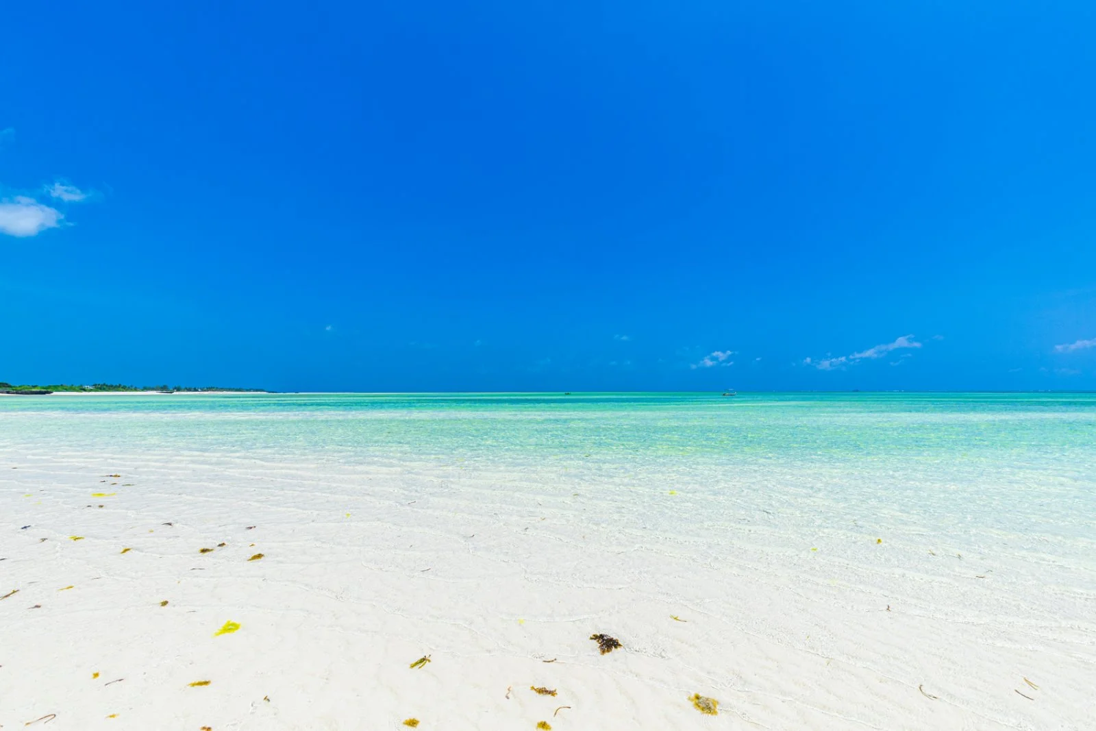 Bravo Smart Watamu Beach 