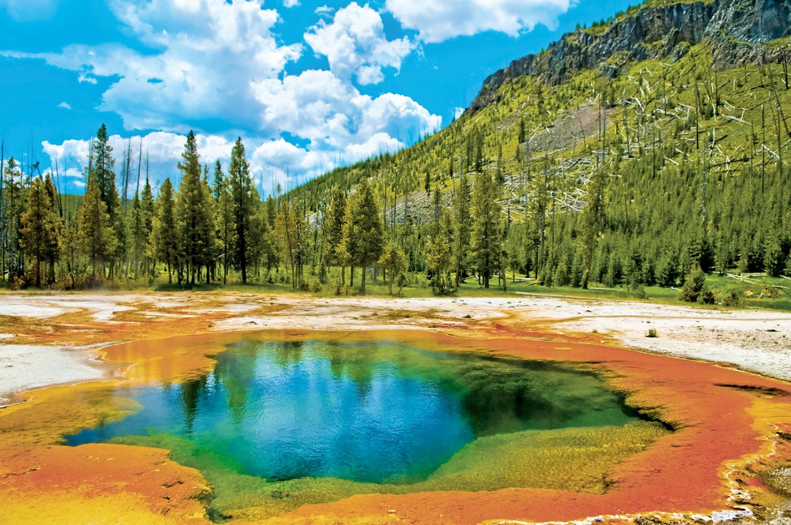 Layton - Yellowstone National Park - West Yellowstone