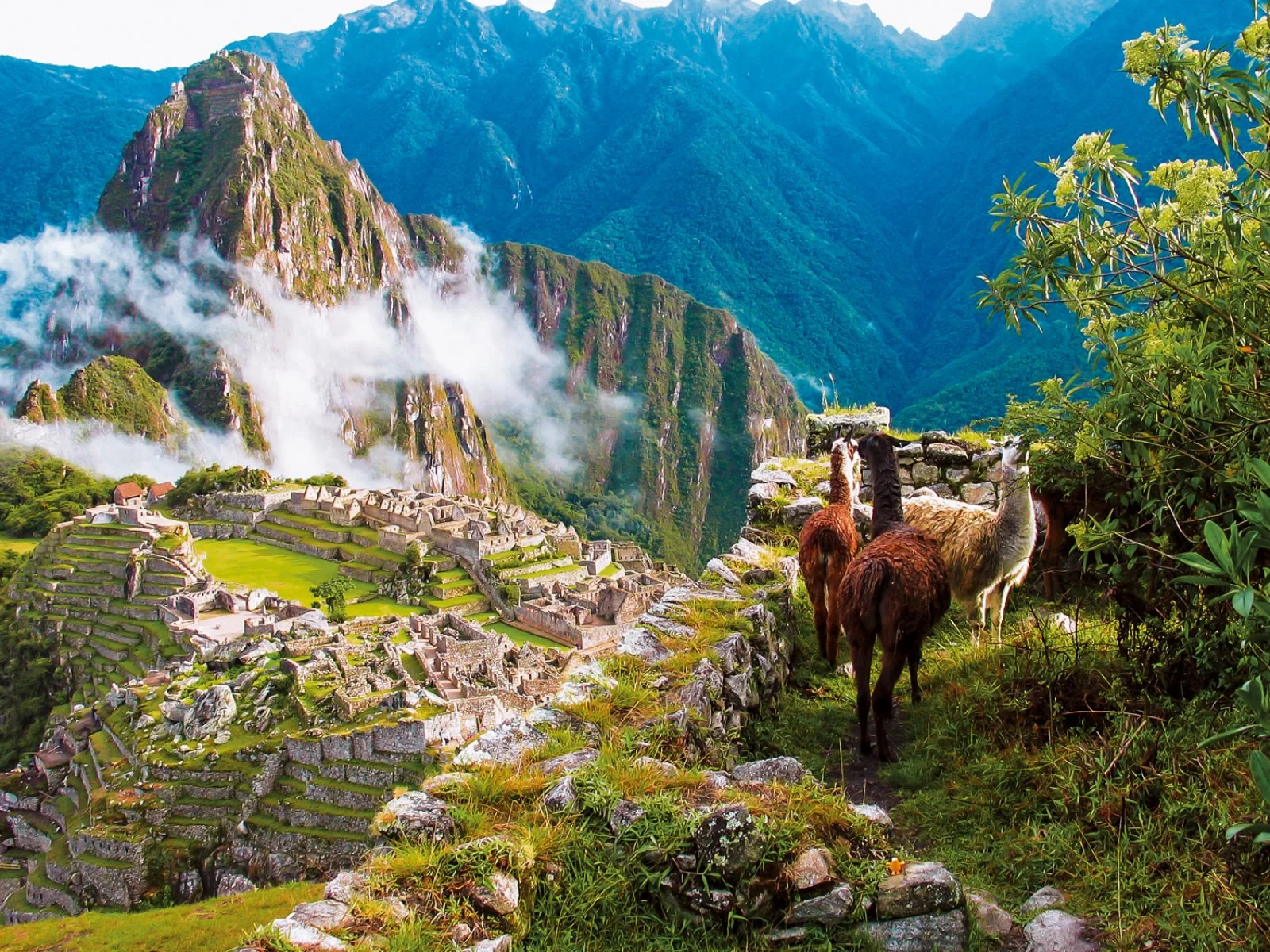 Aguas Calientes - Machu Picchu - Cusco