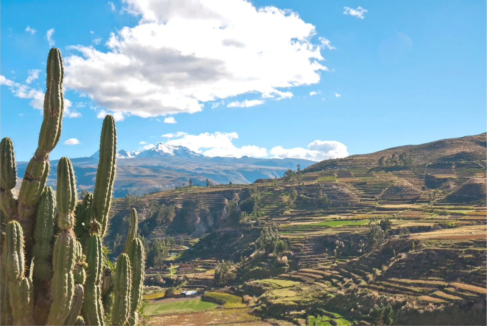 Arequipa - Valle del Colca