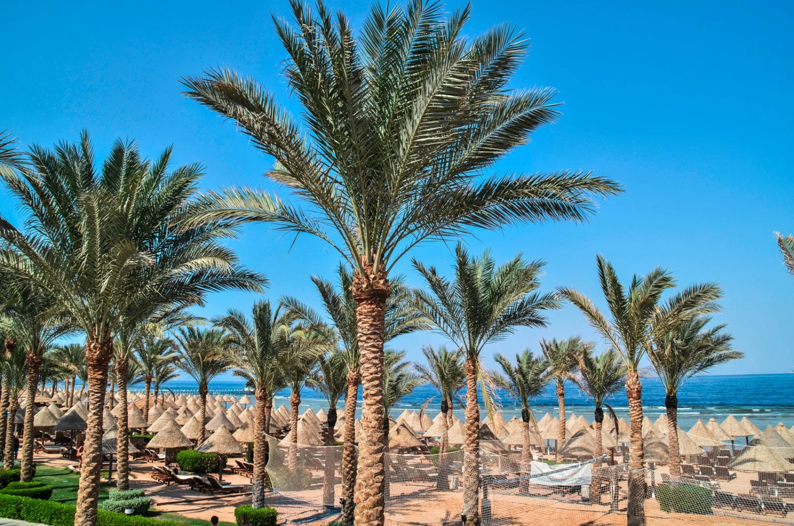 Bravo Smart Grand Plaza Resort - Spiaggia