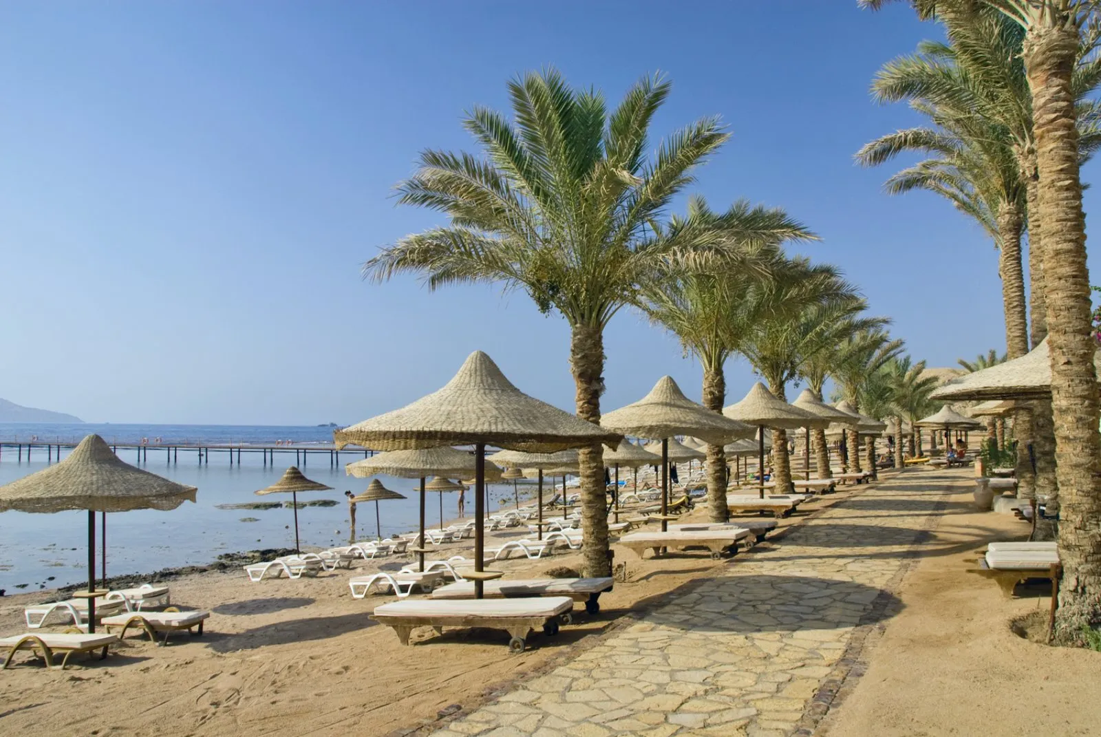 Bravo Tamra Beach 
