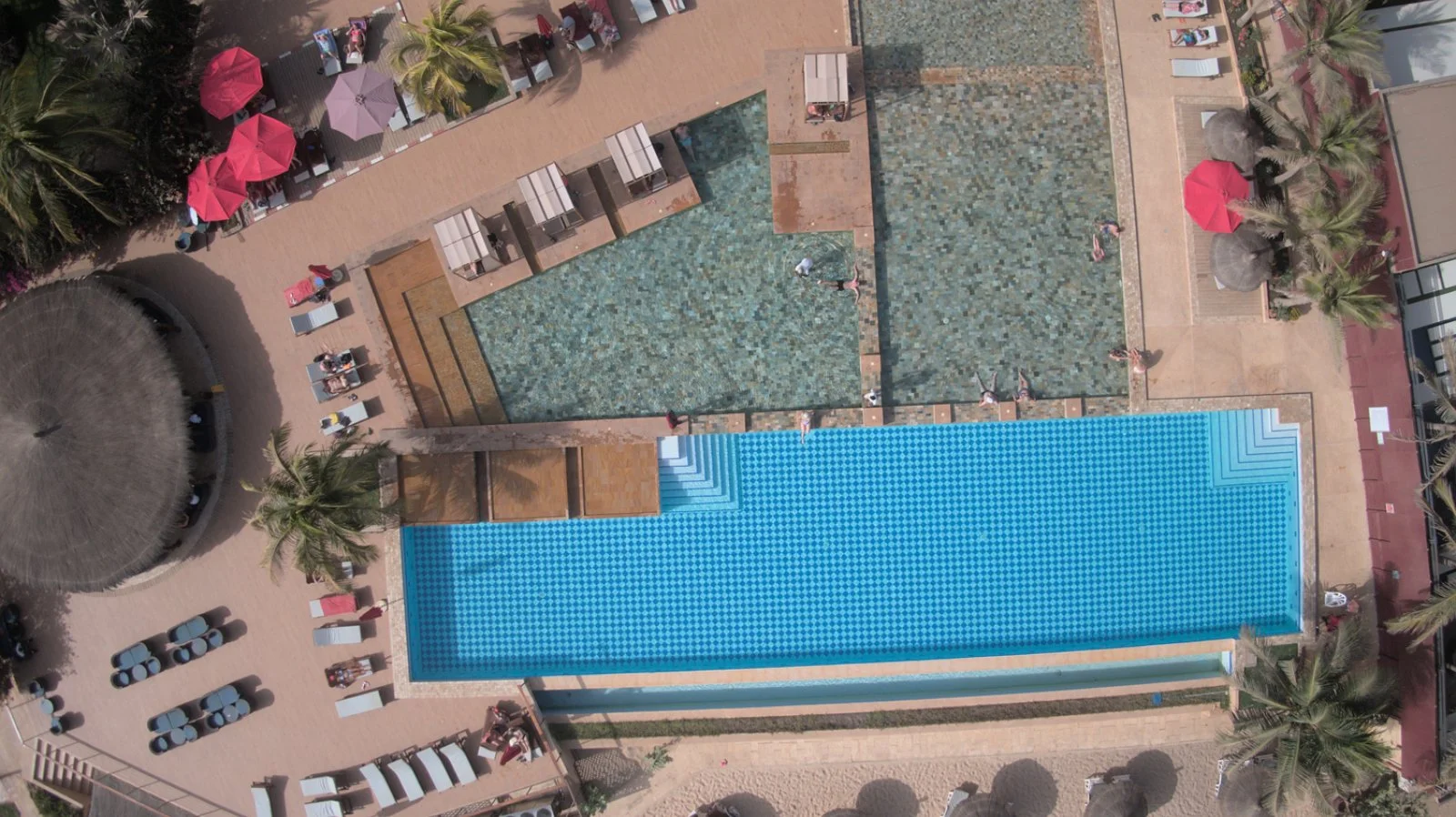 Royal Horizon Baobab Royal Horizon Baobab