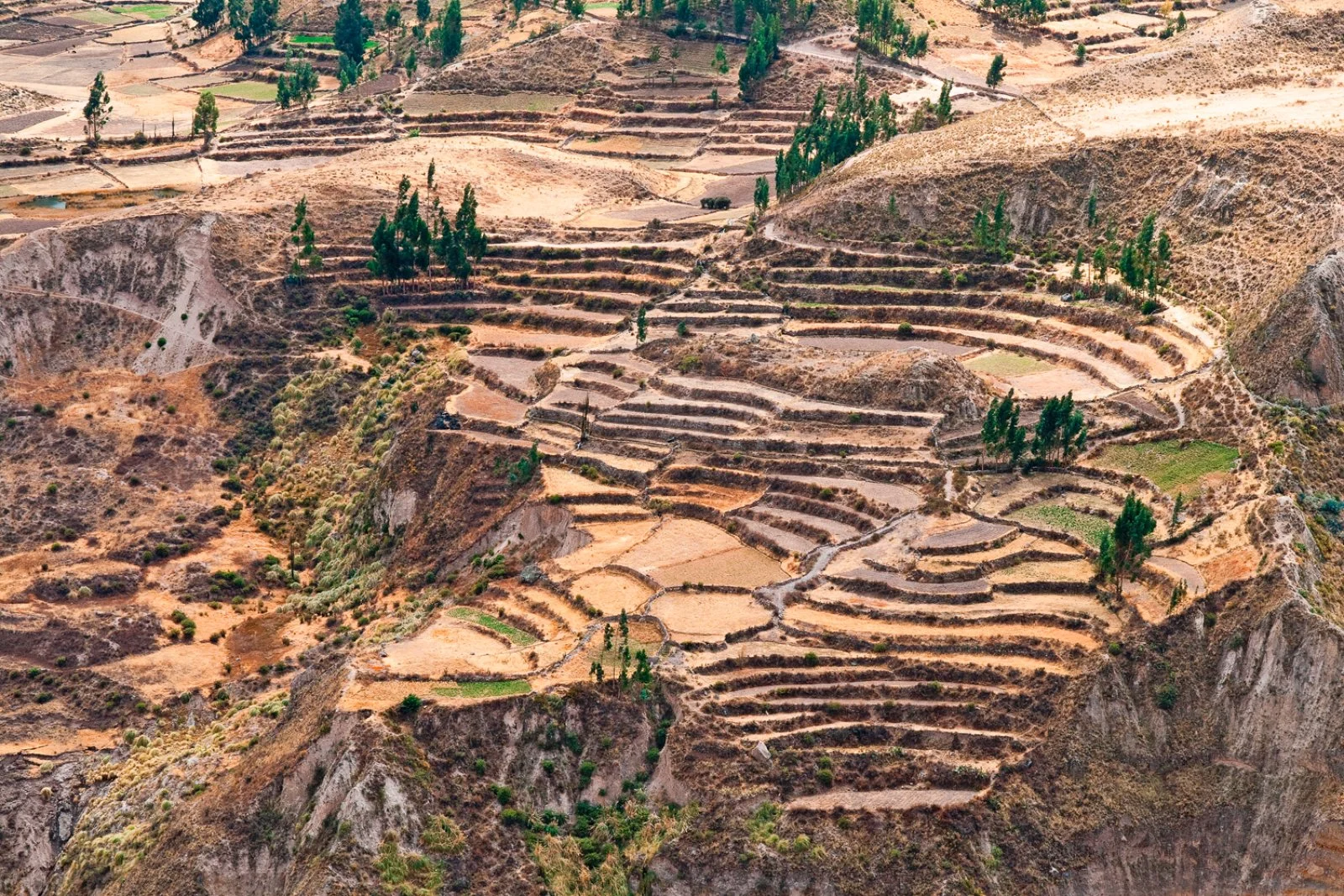 Arequipa - Valle del Colca