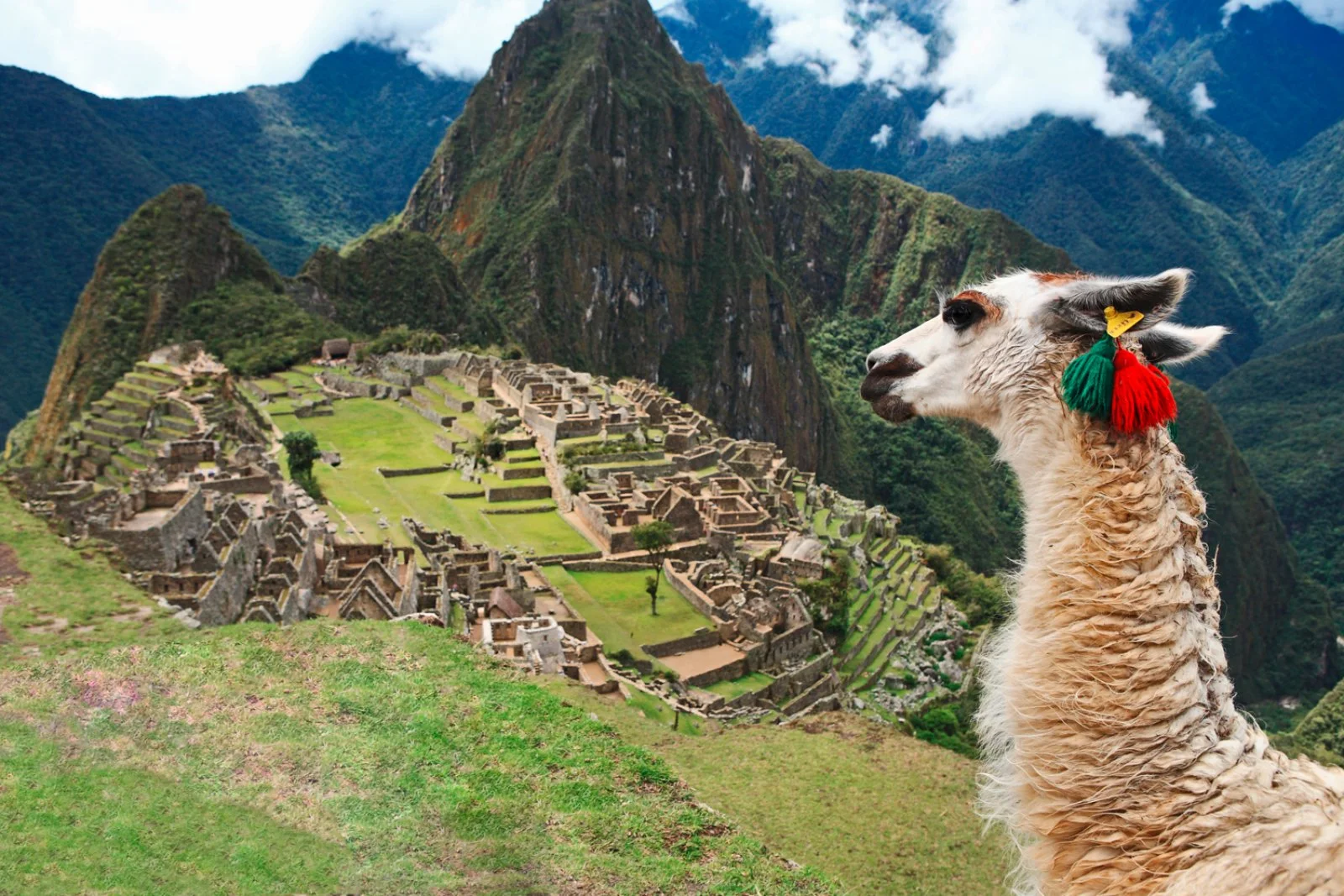 Aguas Calientes - Machu Picchu - Cusco