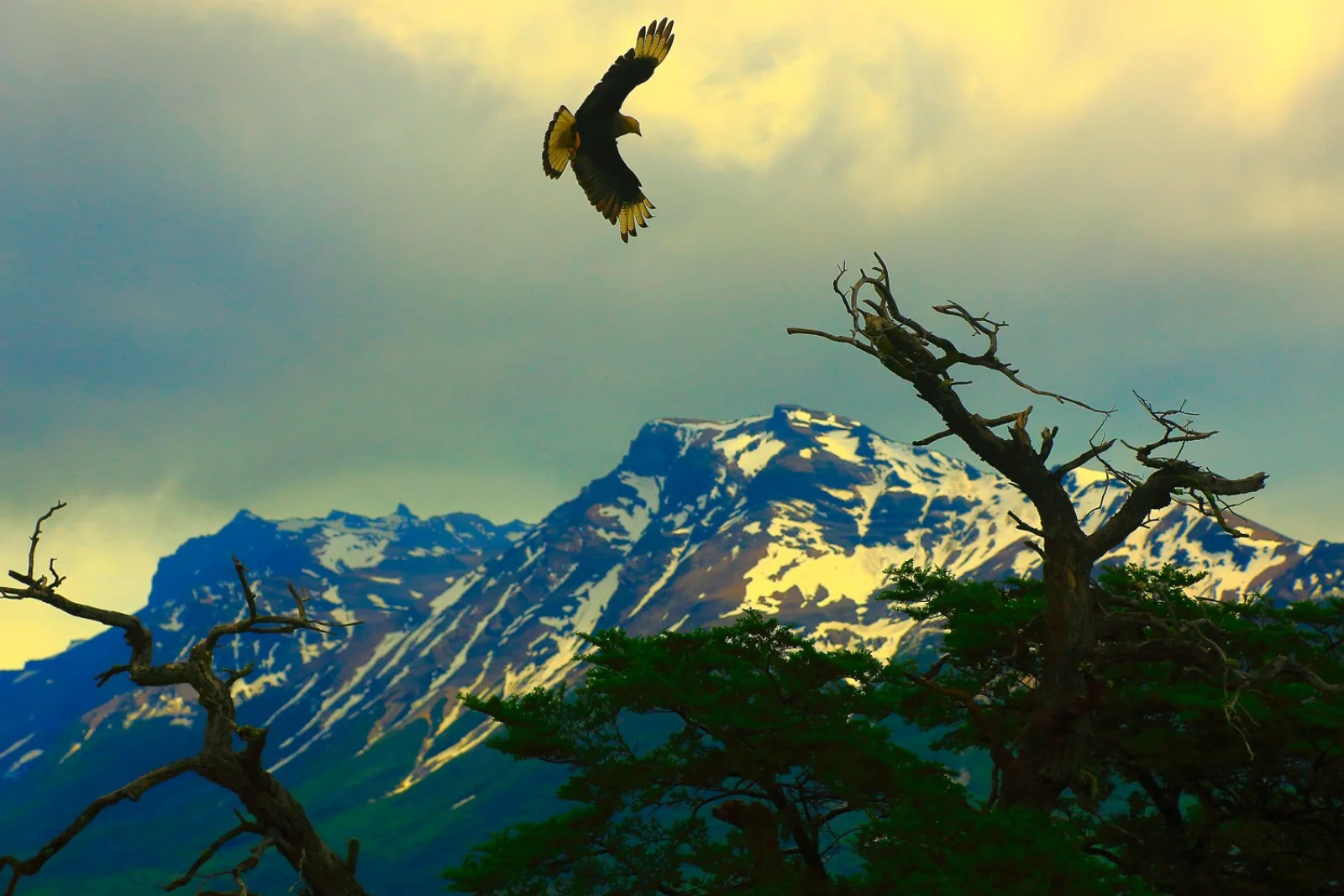 El Calafate - Perito Moreno
