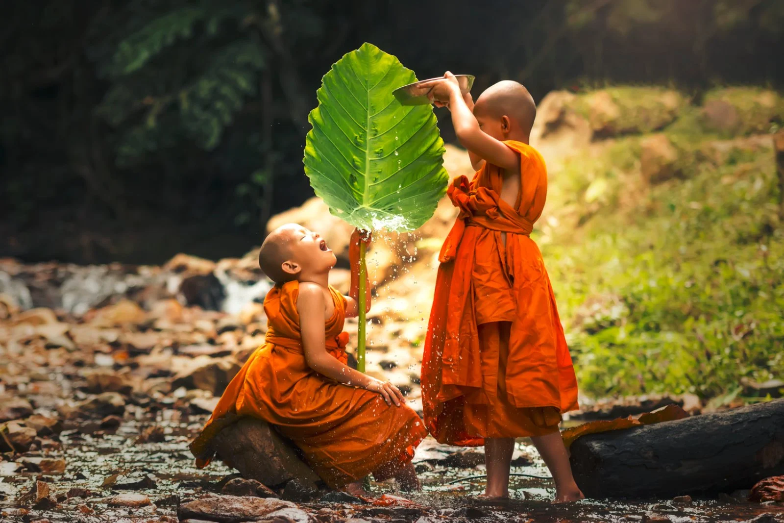Luang Prabang - Pak Ou - Luang Prabang - Vientiane