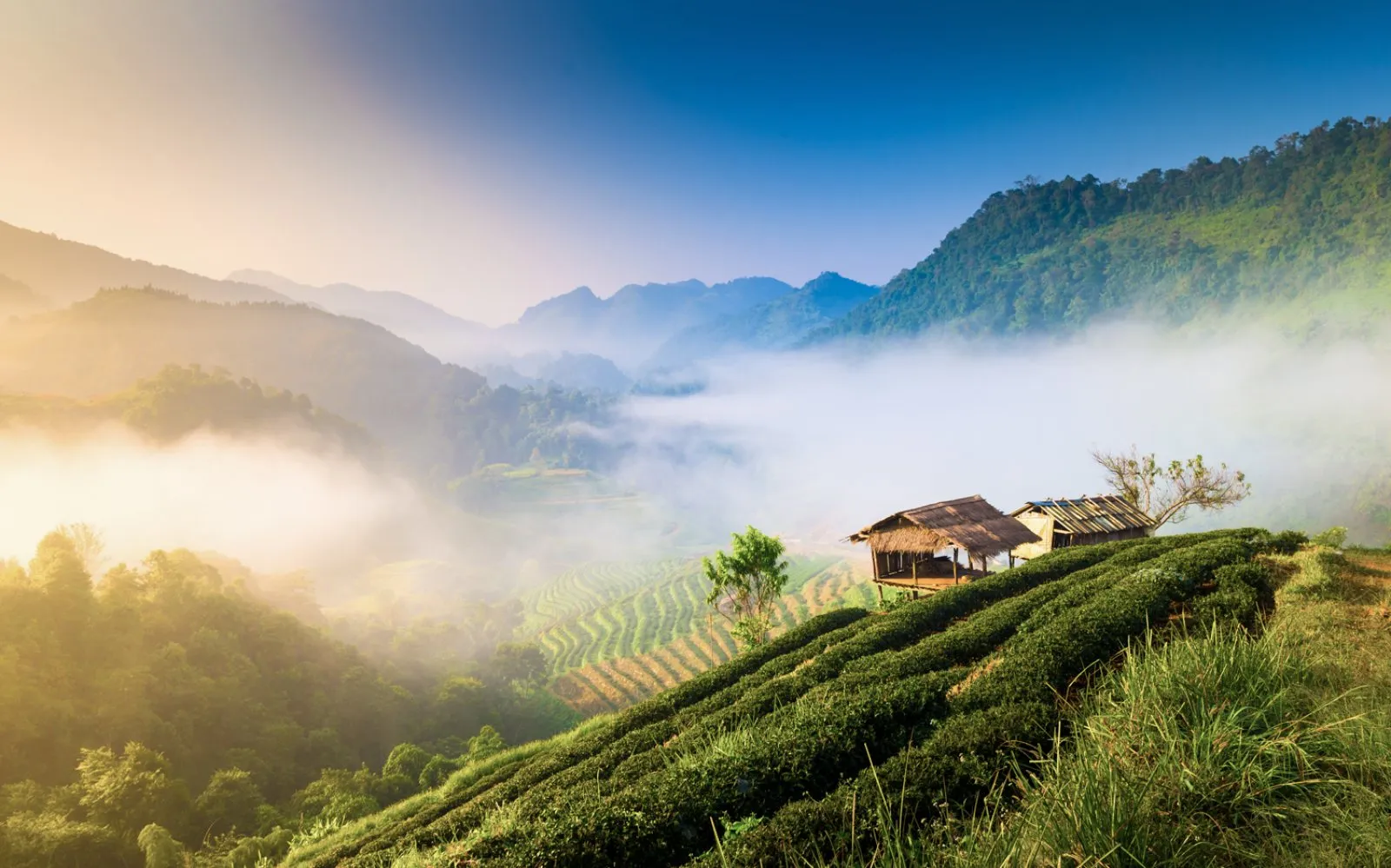 Chiang Mai - Chiang Rai - Triangolo d’Oro - Chiang Mai