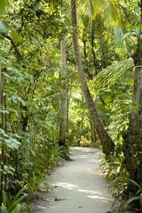 MAKUNUDU ISLAND RESORT – Maldive