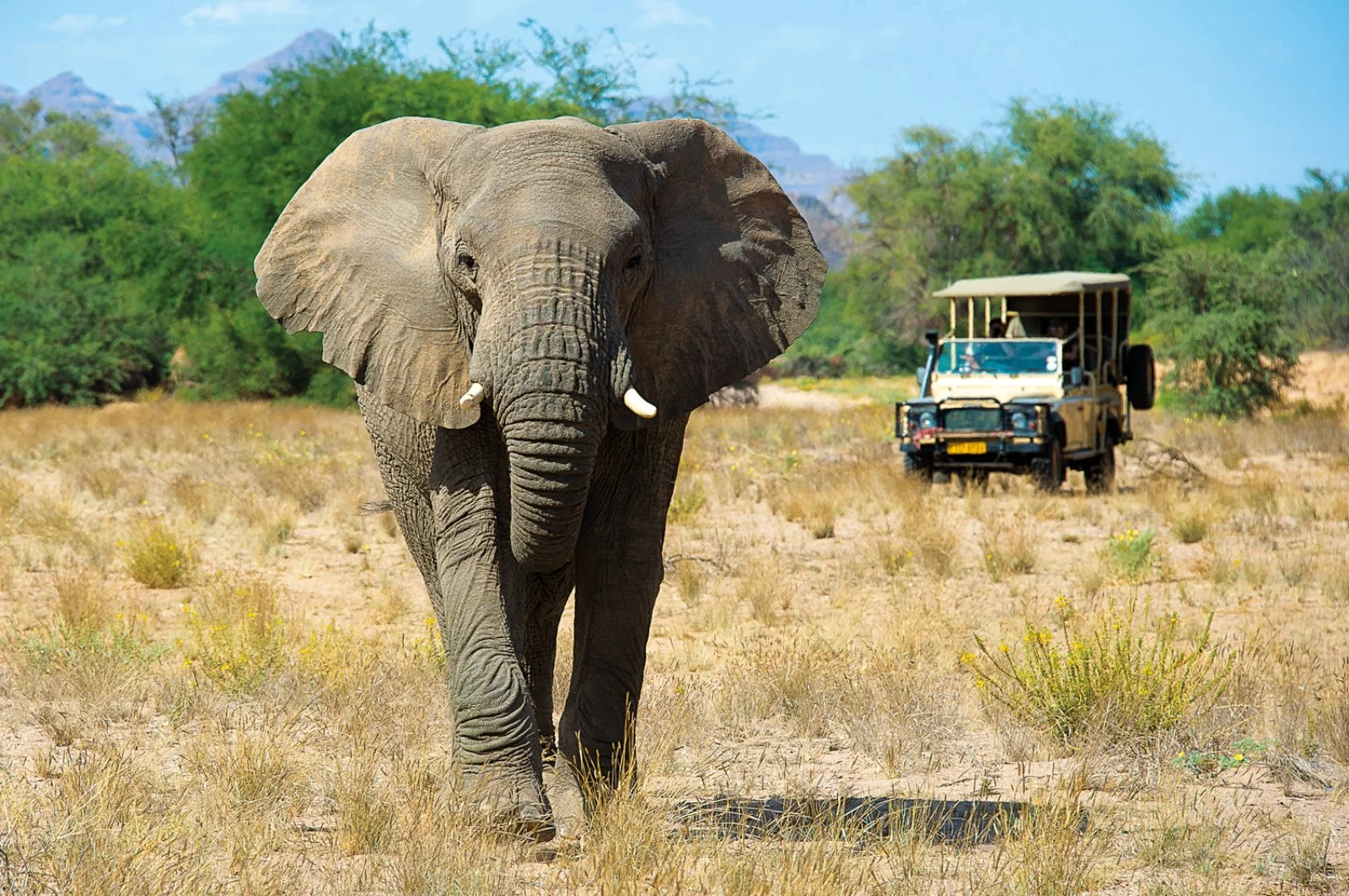 Concessione Privata Parco Kruger