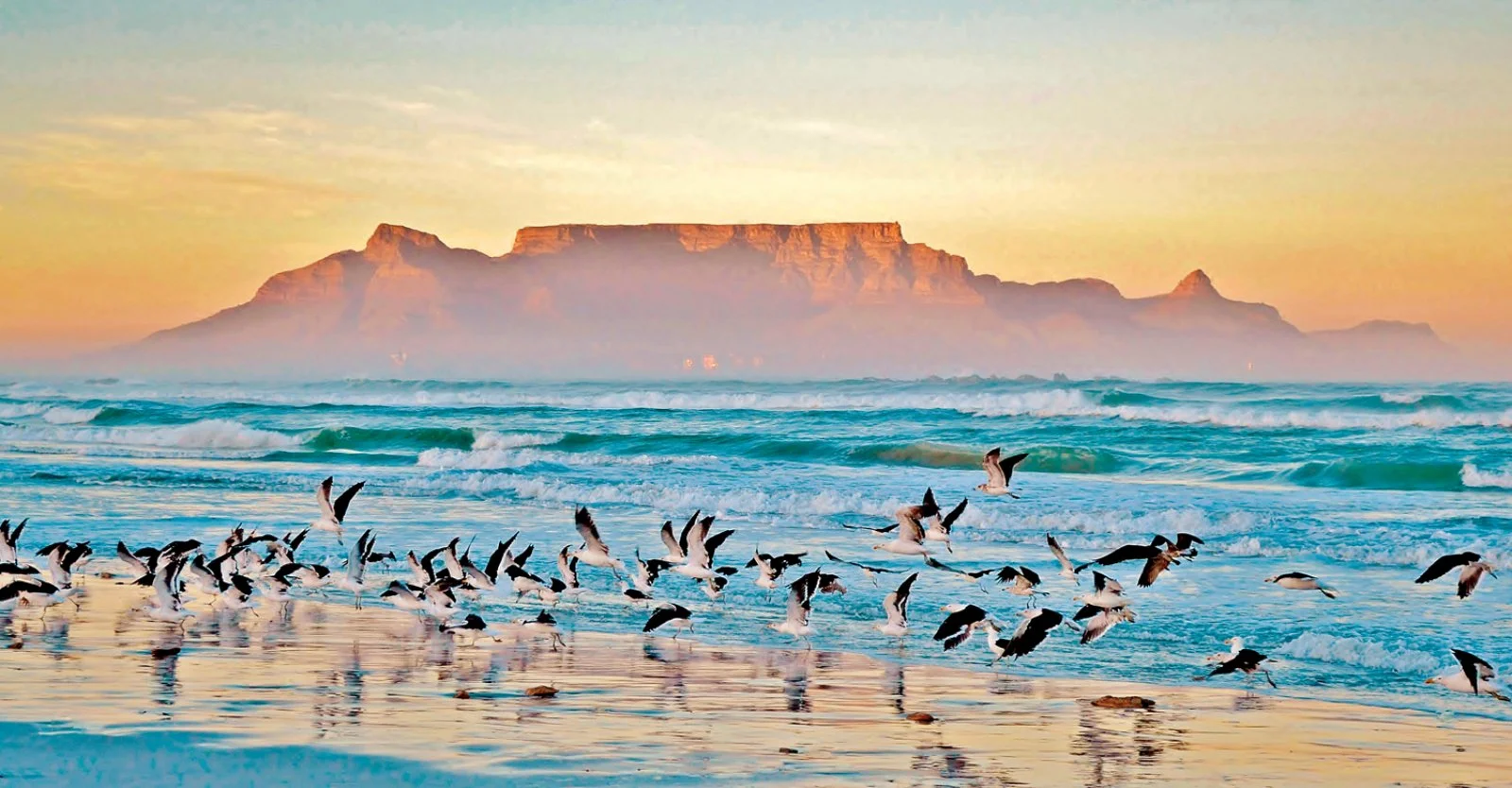 Città del Capo - Penisola del Capo - Città del Capo