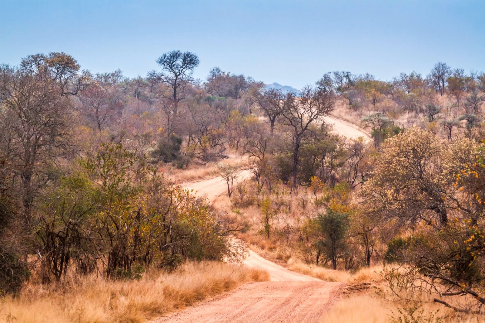 Mpumalanga - Concessione Privata Parco Kruger