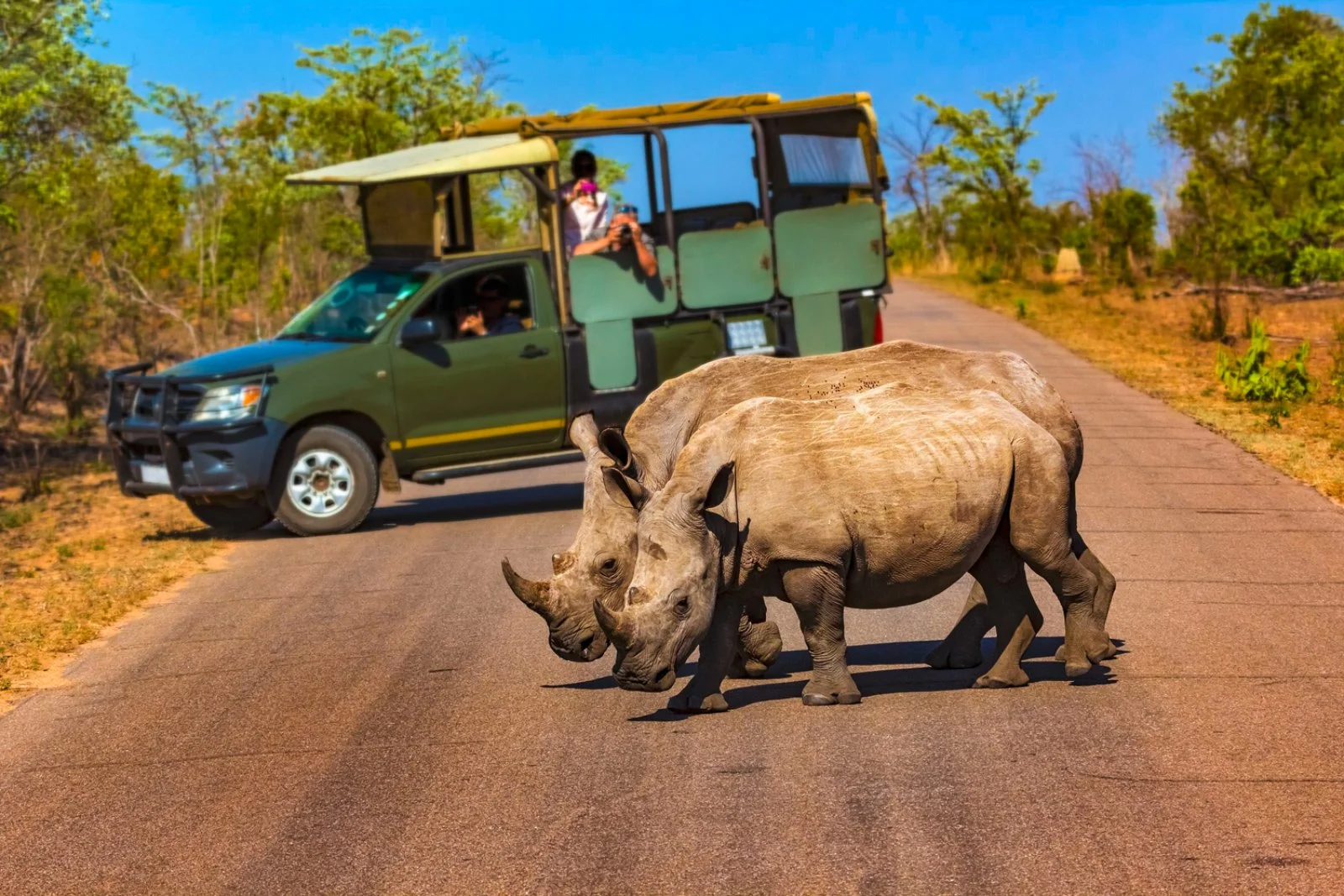 Voyager Legend E Mauritius - Kruger Voyager Legend E Mauritius - Kruger