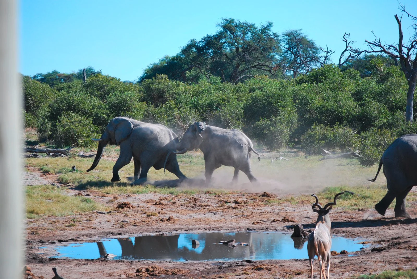Parco Kruger - Johannesburg