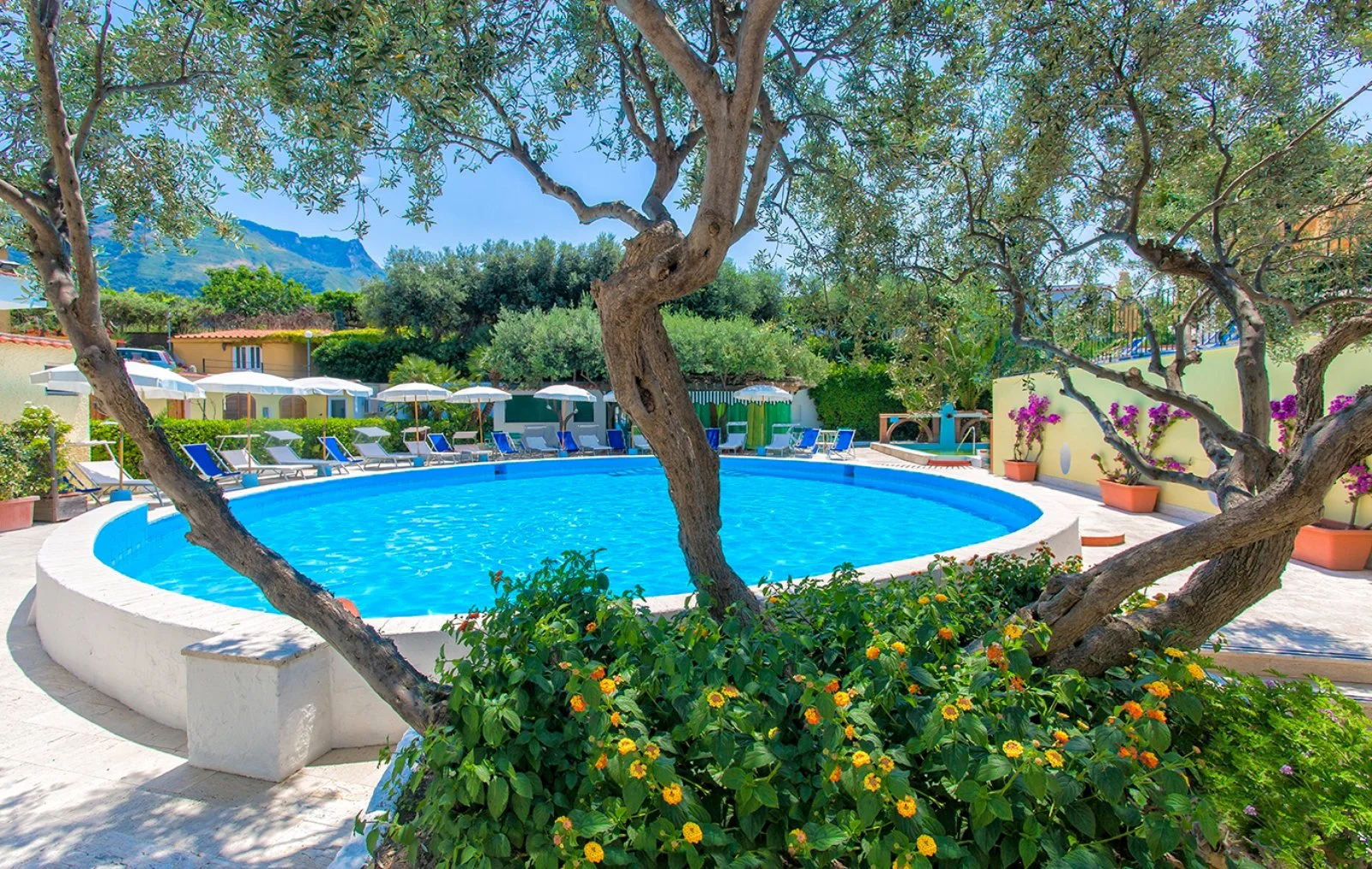 La Scogliera Hotel 