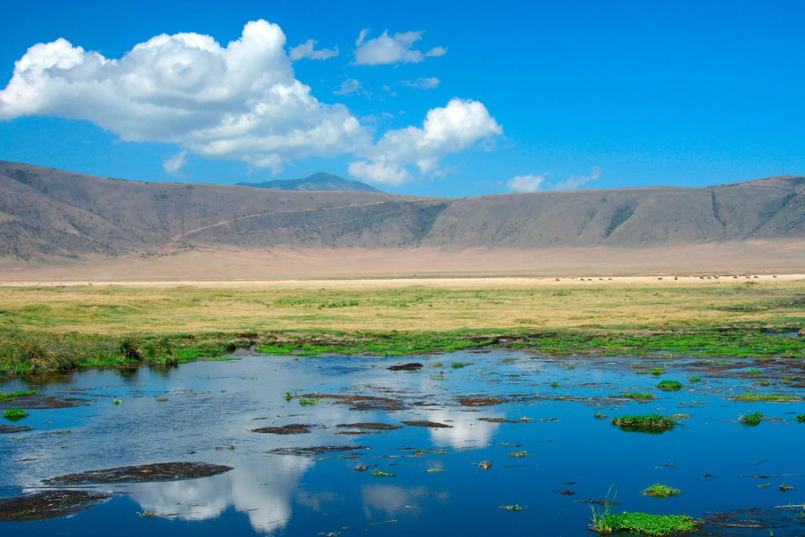 Ngorongoro In Volo - Ngorongoro Conservation Area