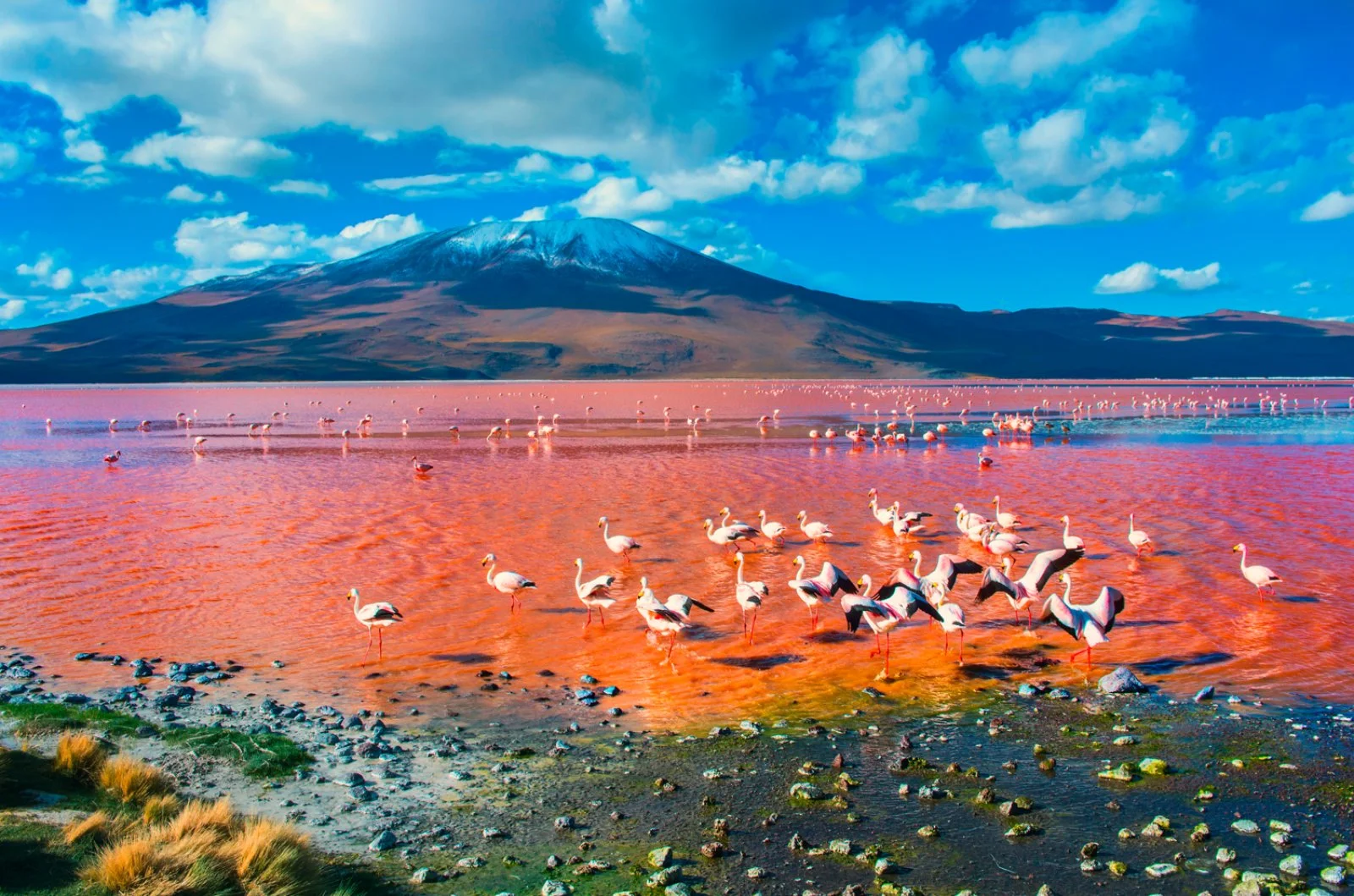 Uyuni - Soniquera (4.500 s.l.m.)