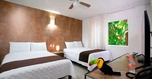 TUKAN HOTEL PLAYA DEL CARMEN – Playa del Carmen